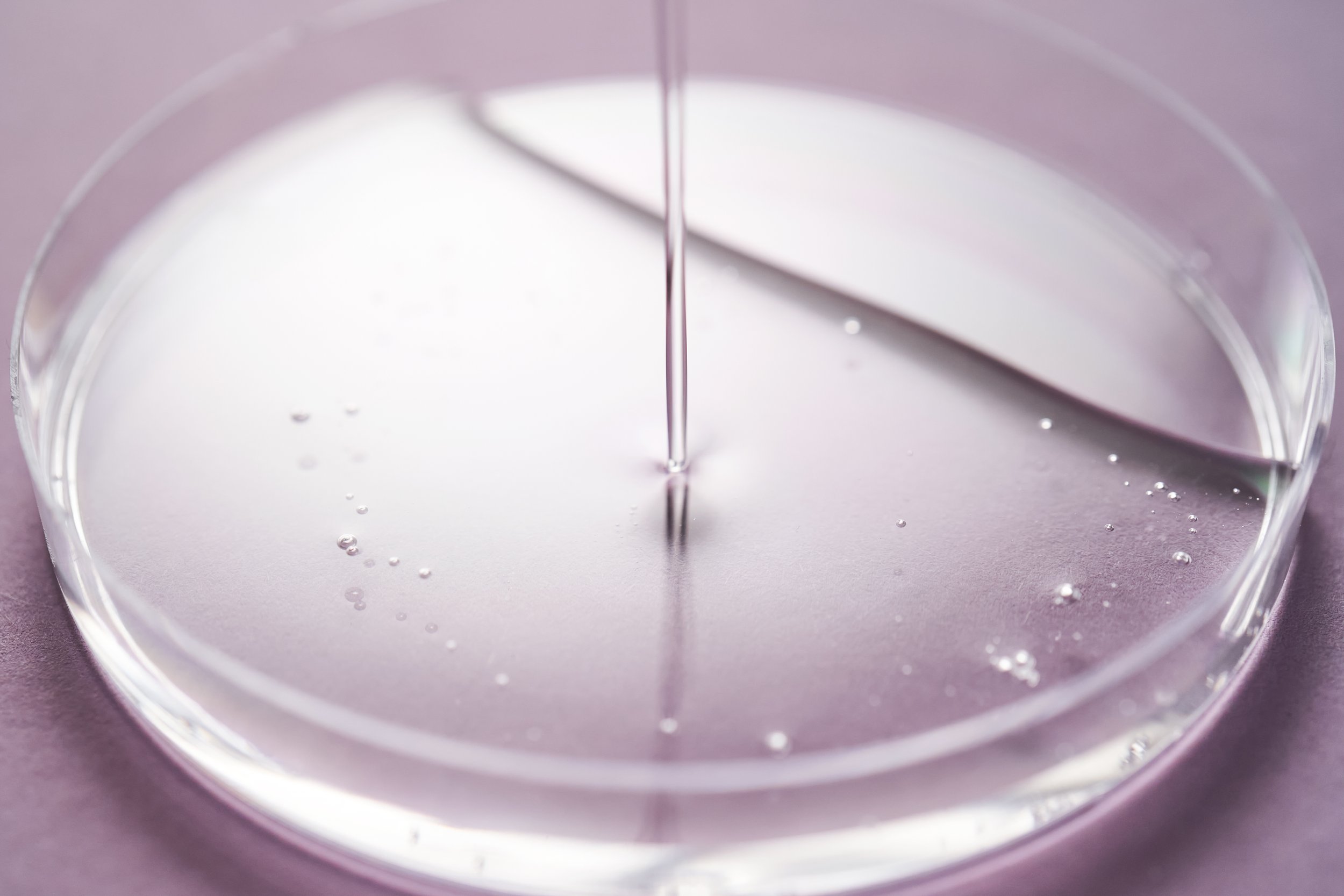 clear-liquid-being-poured-into-petri-dish-2026-03-24-07-39-56-utc.jpg
