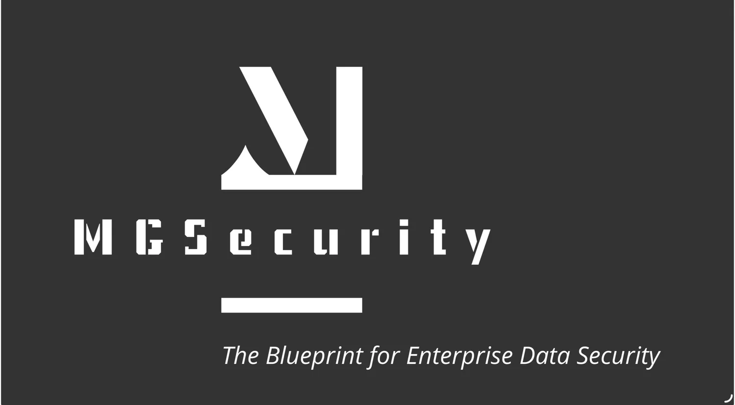 MGSecurity LLC