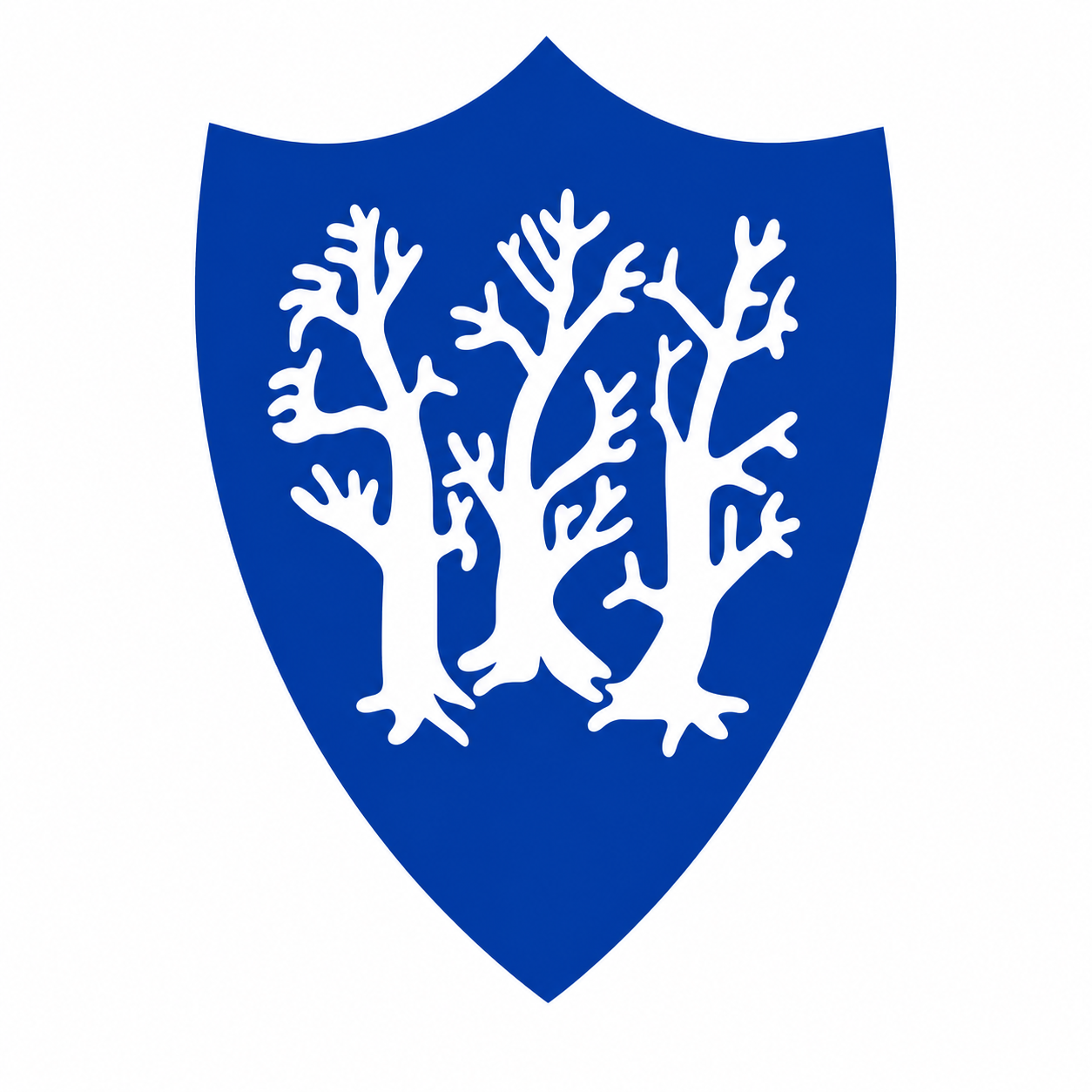  Birchwood Primary School