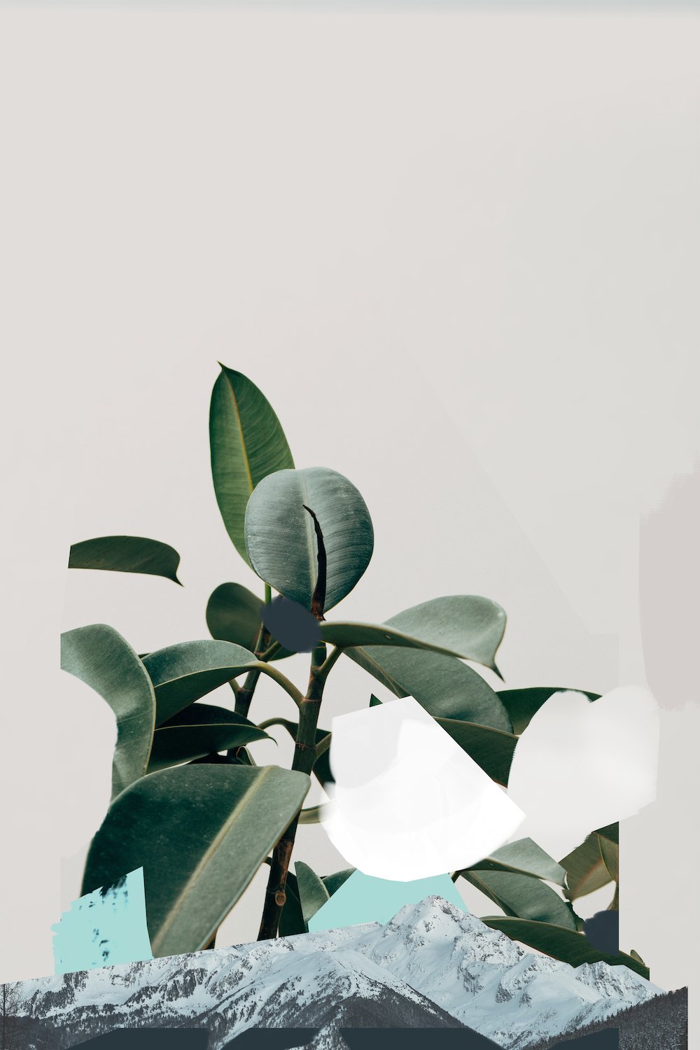 PLANTpainting1 2.jpg