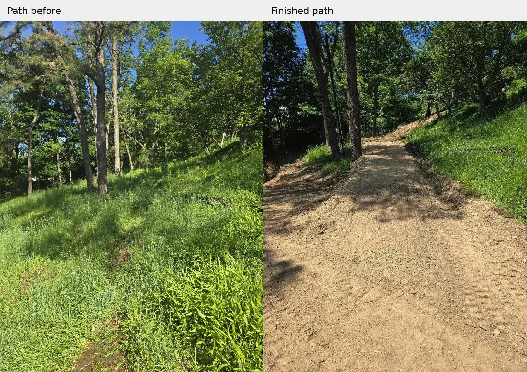 The same wooded path before and after grading, showing the same two foreground trees from different positions.