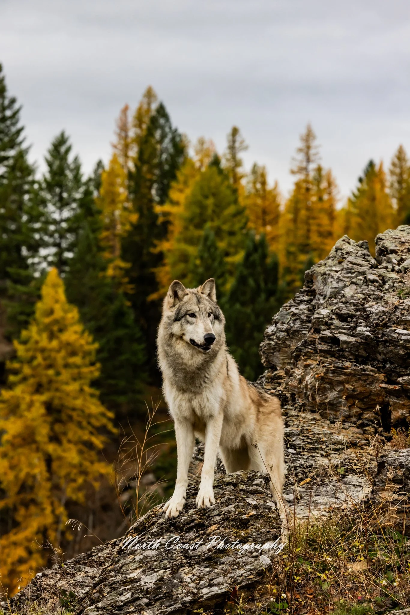 Untitled-989.jpg