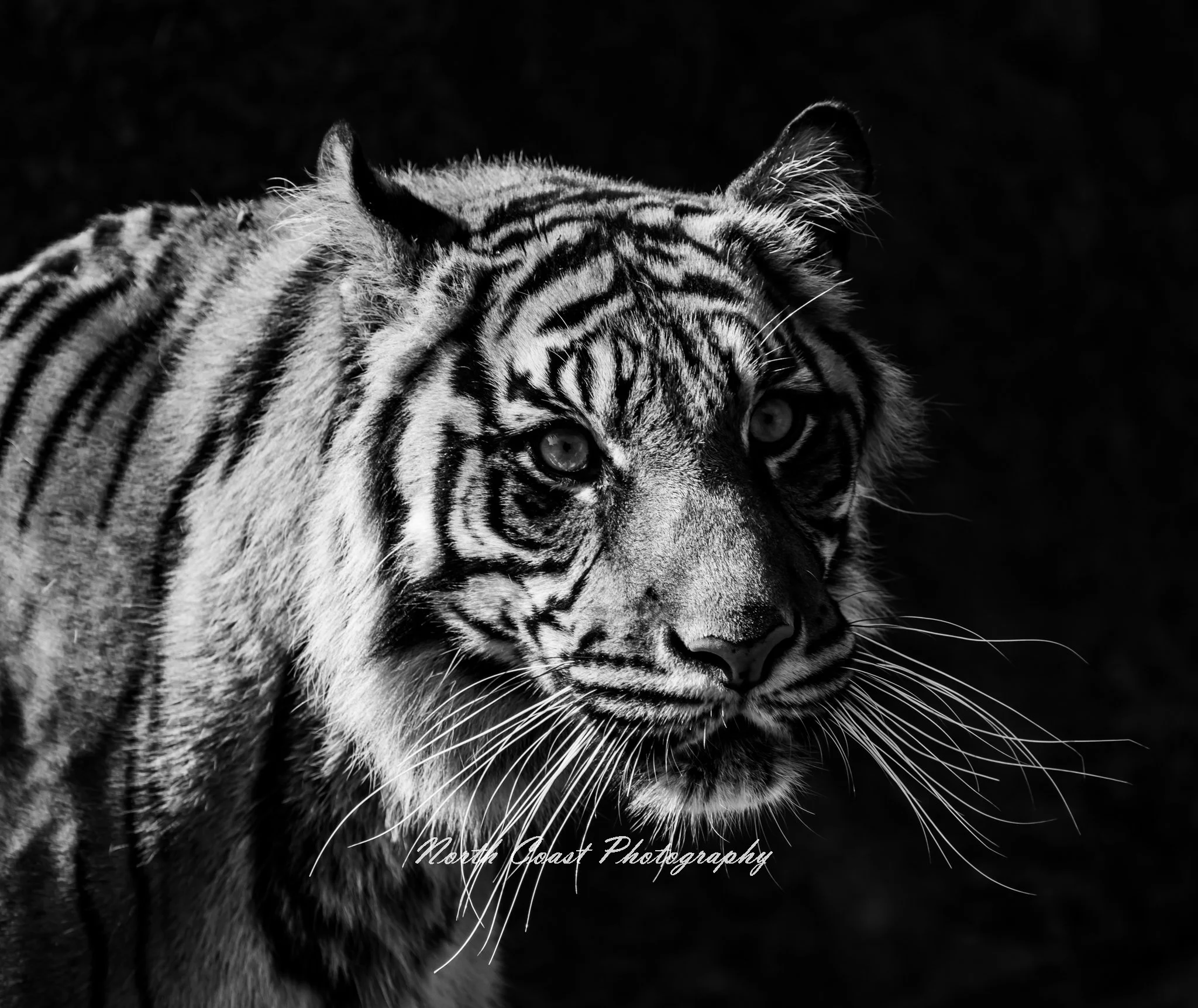 Untitled-1025.jpg
