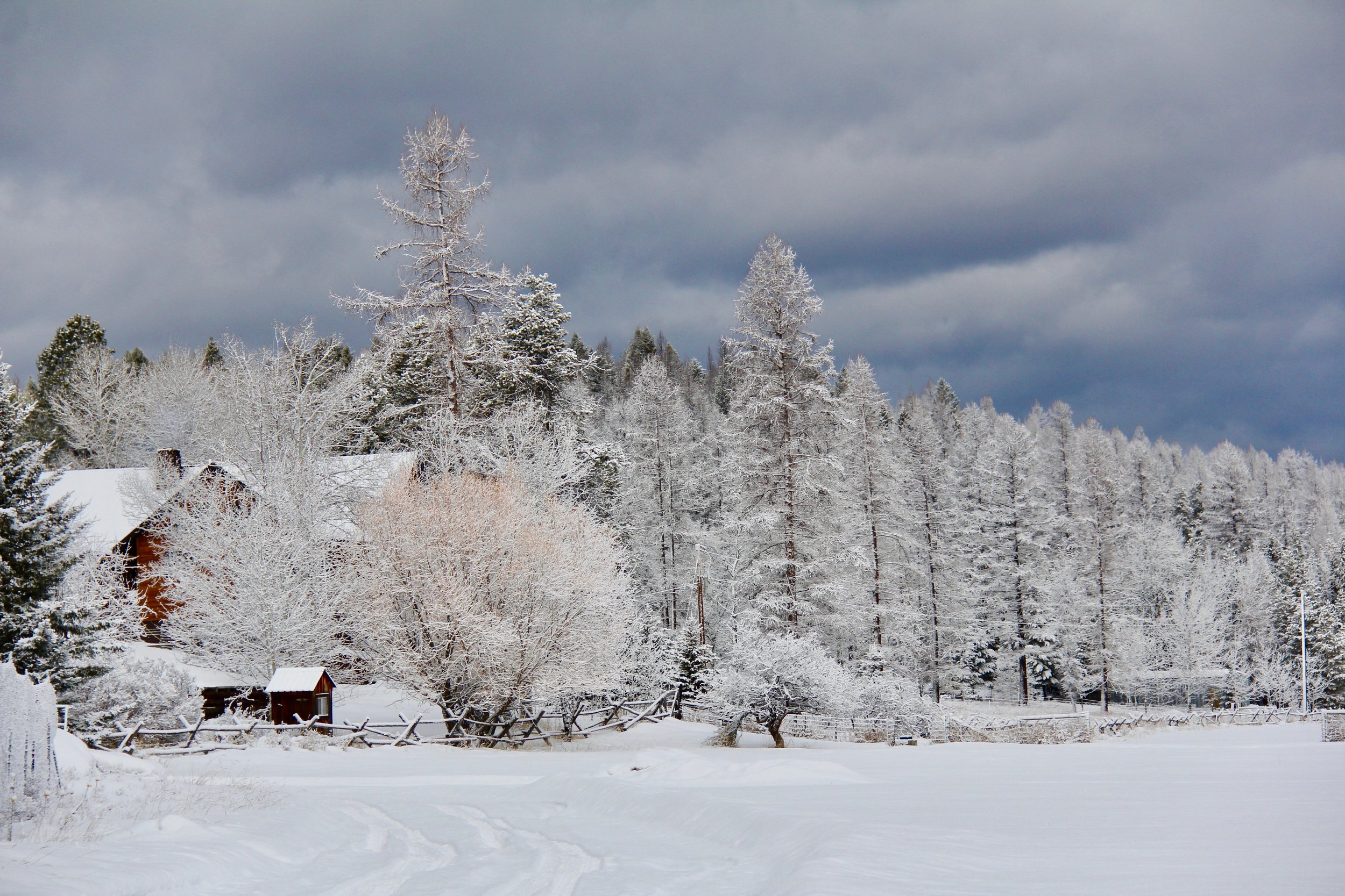Tilley Rd, Mt winter.jpg