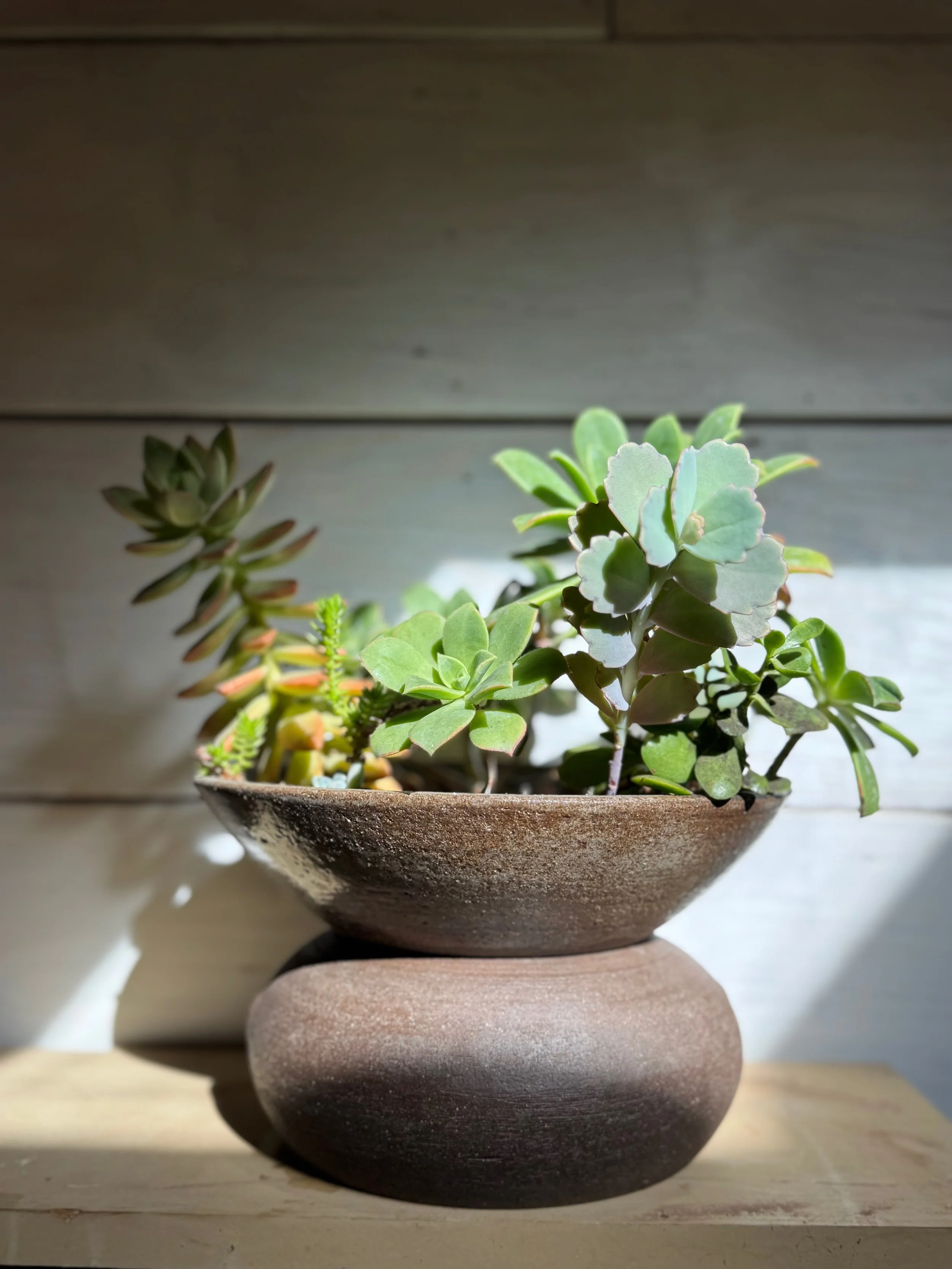 Self-Watering Planter, Round