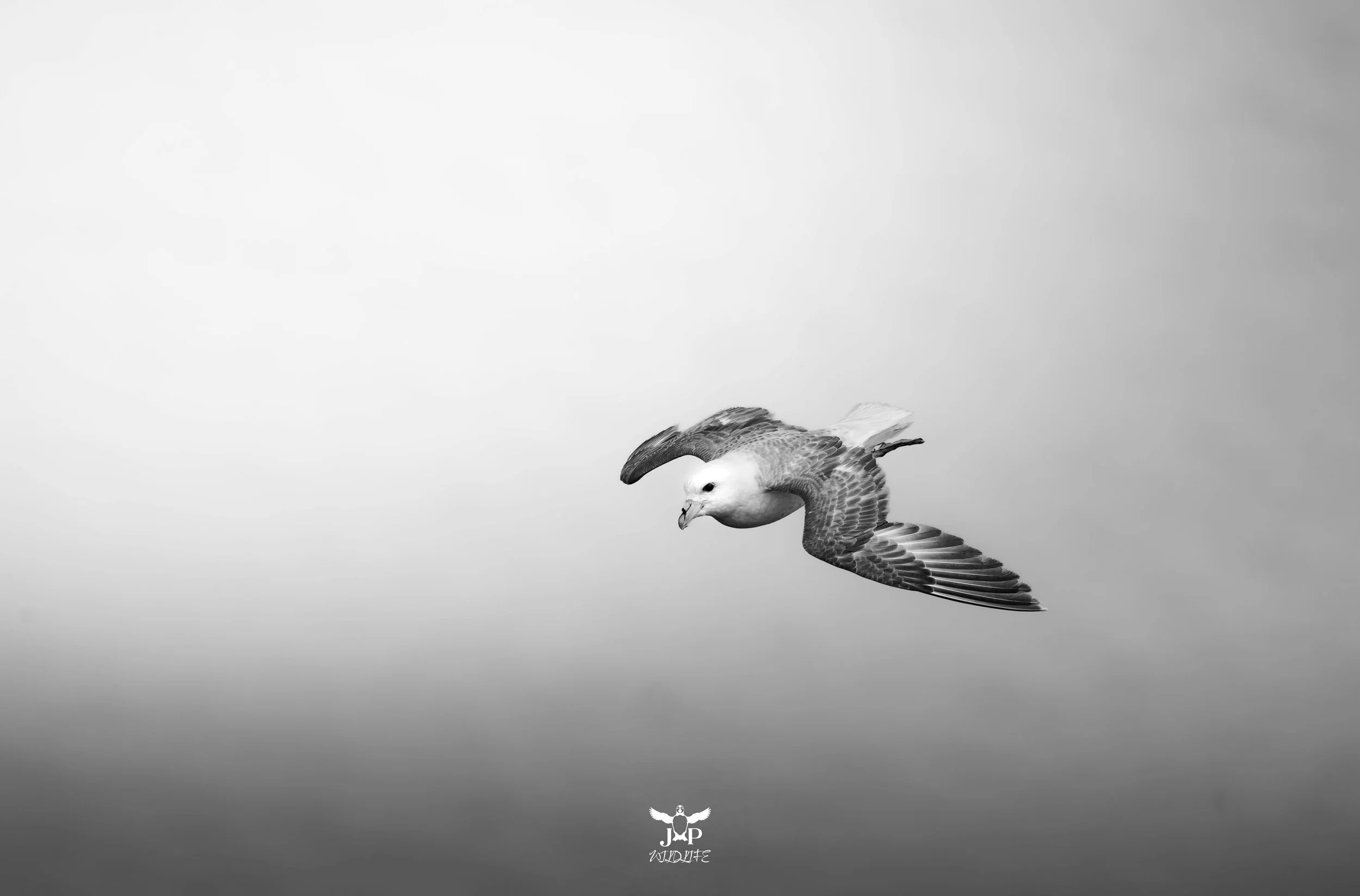 Between Sky and Silence.jpg