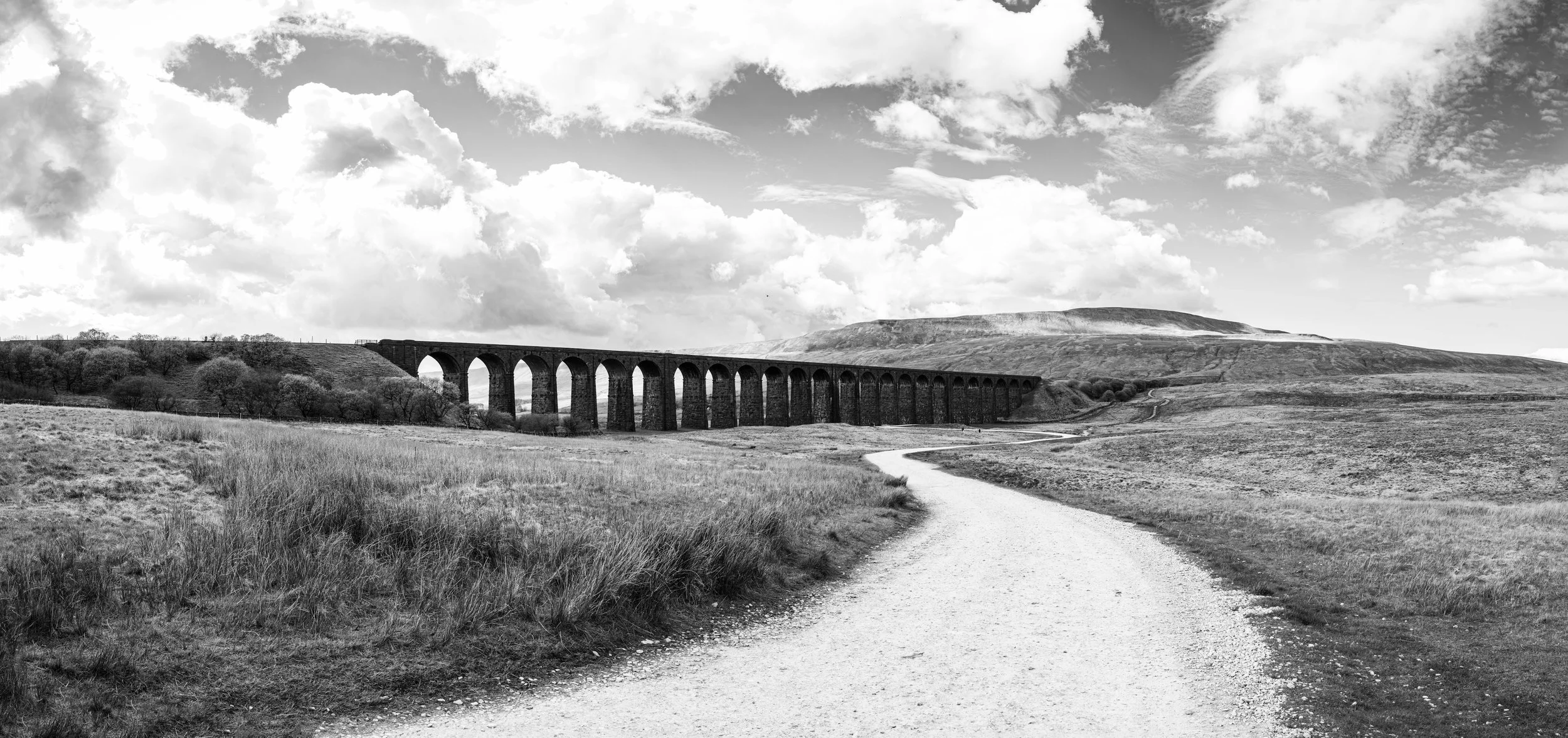 Path Through Time