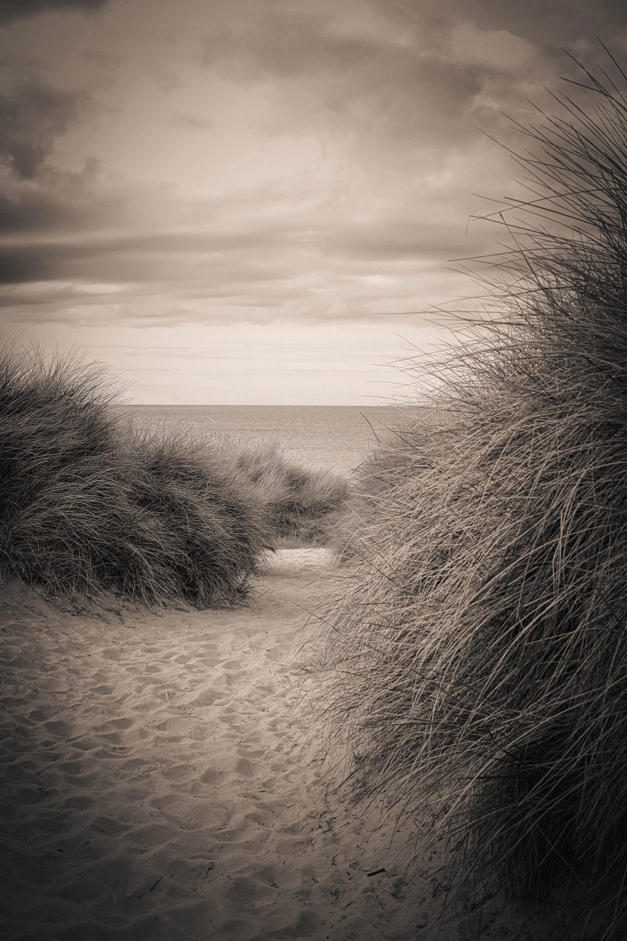 The Shifting Path