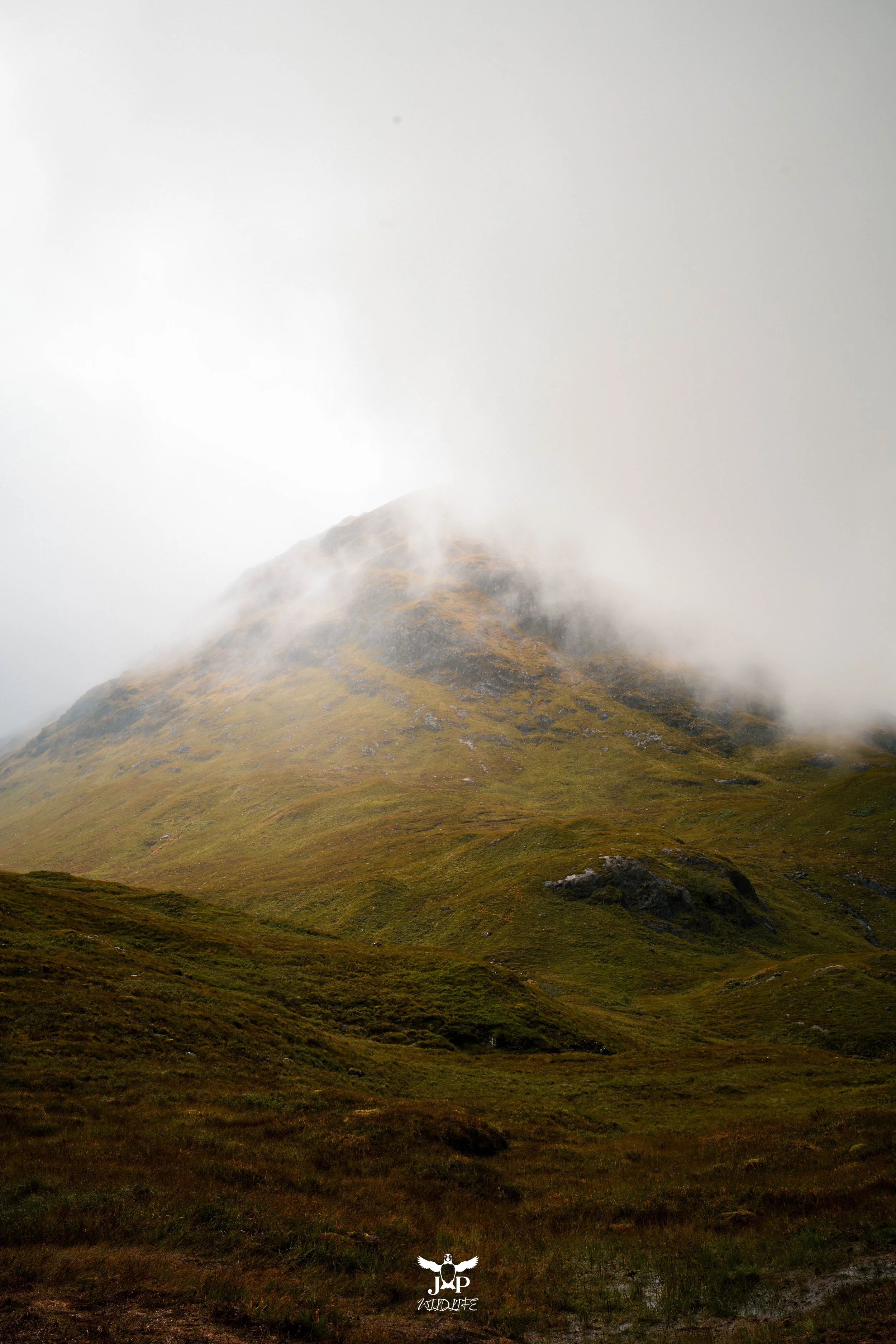 _DSC3754.jpg