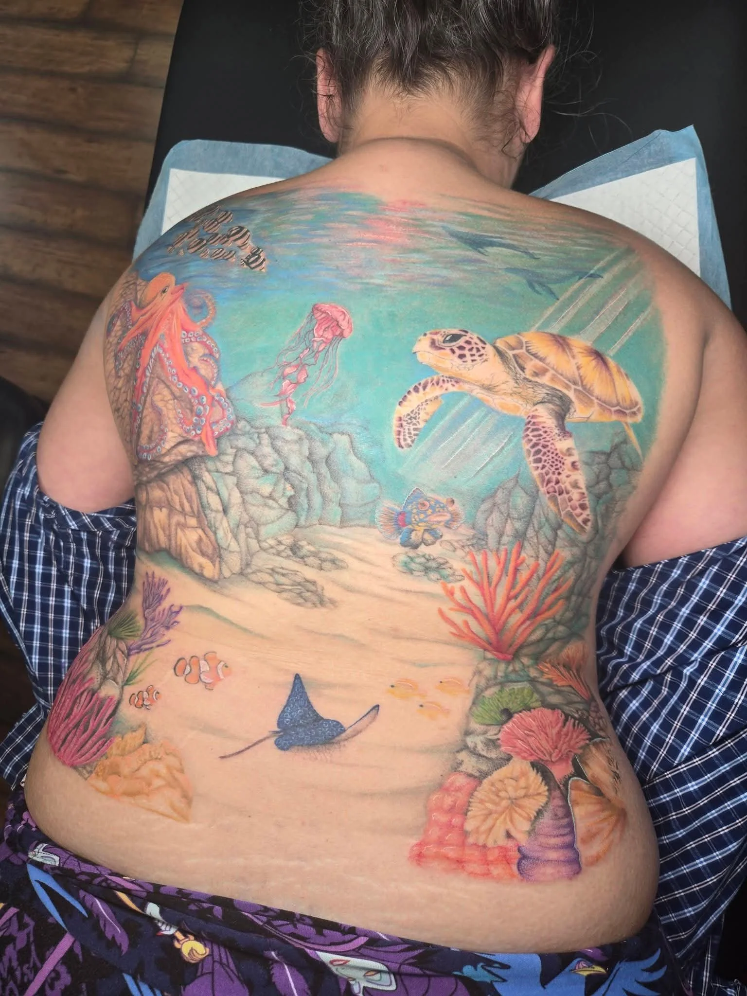 Back Aquarium.jpg