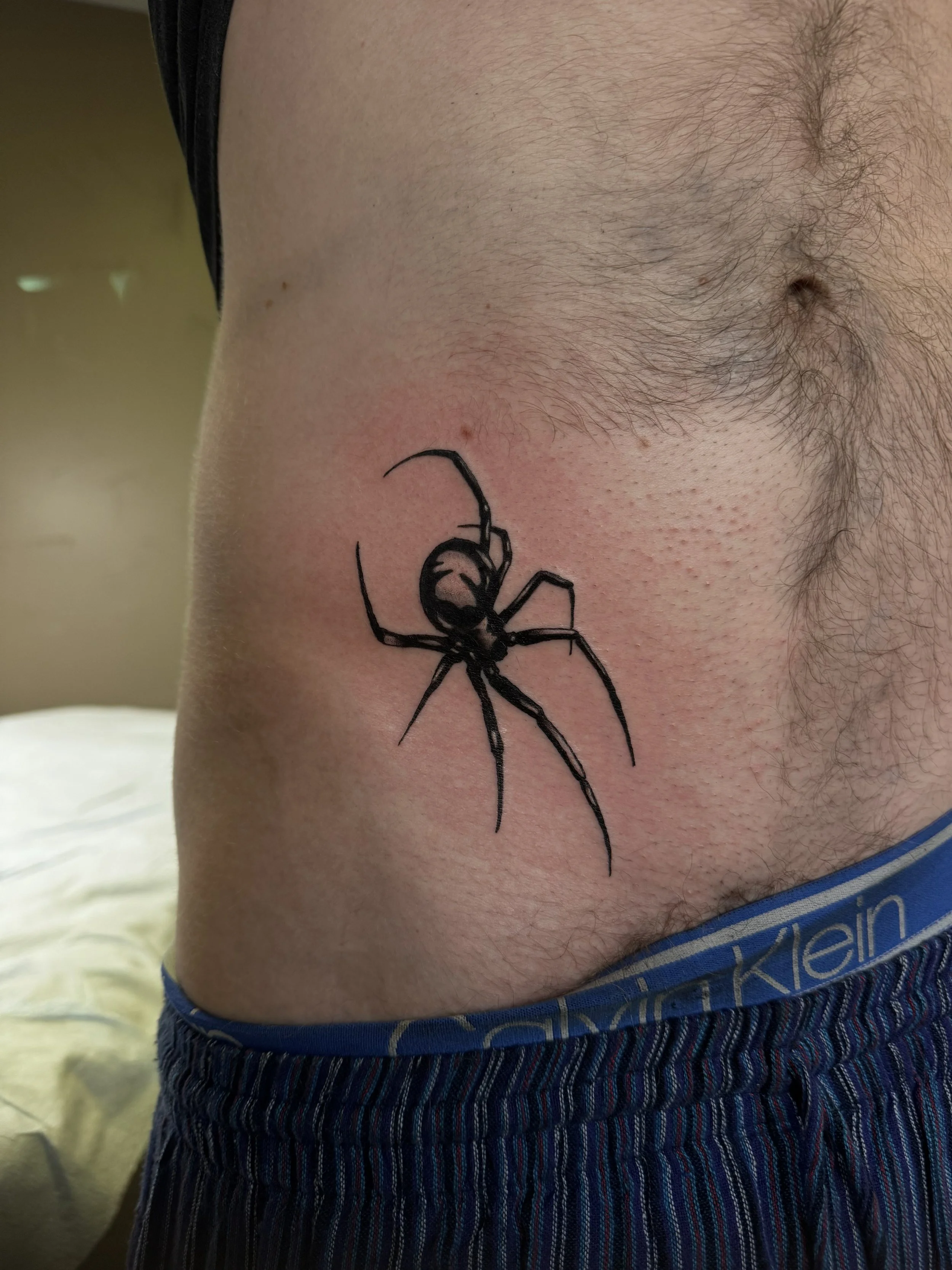 spider.jpg