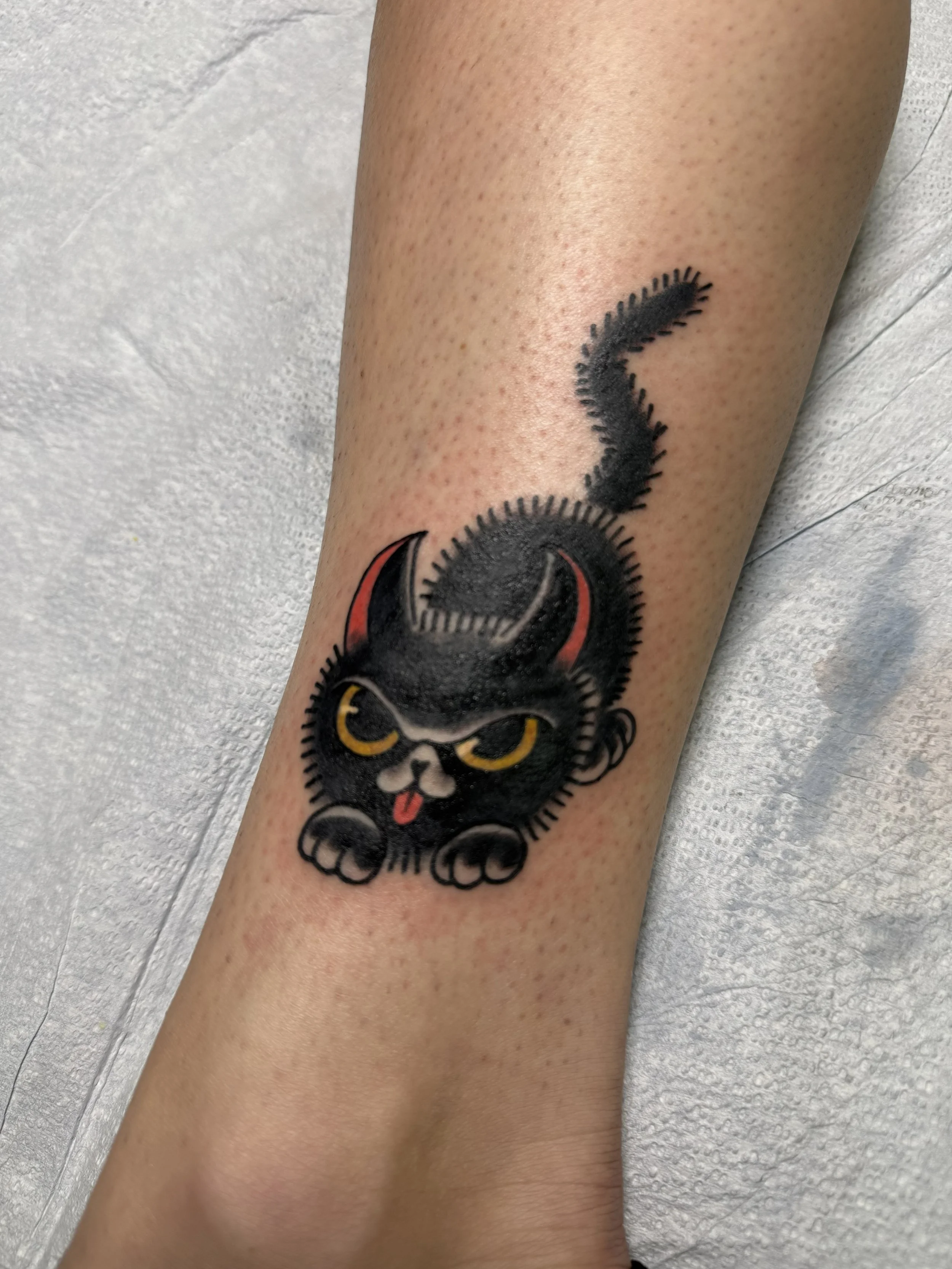 black cat.jpg