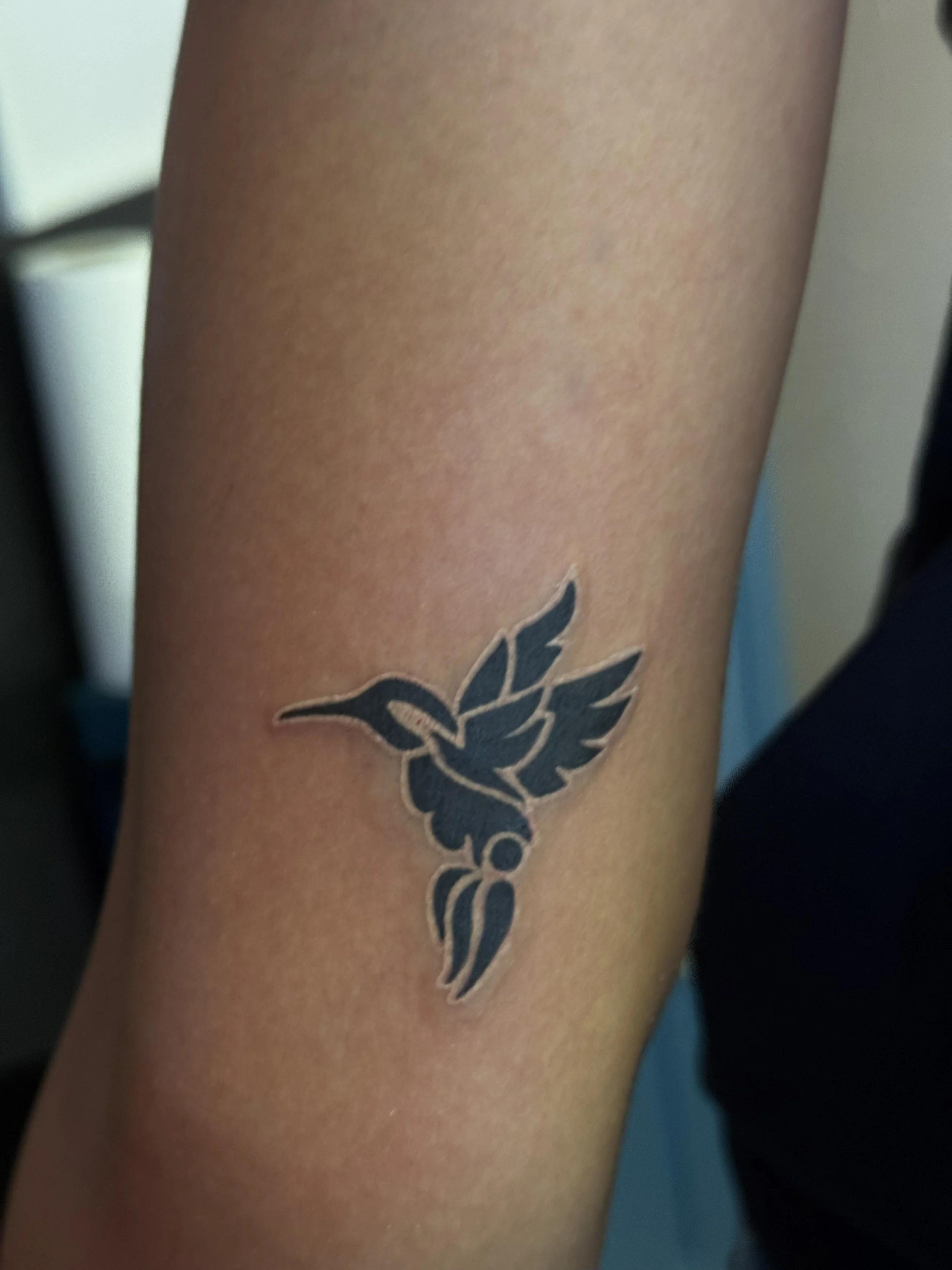 hummingbird.jpg