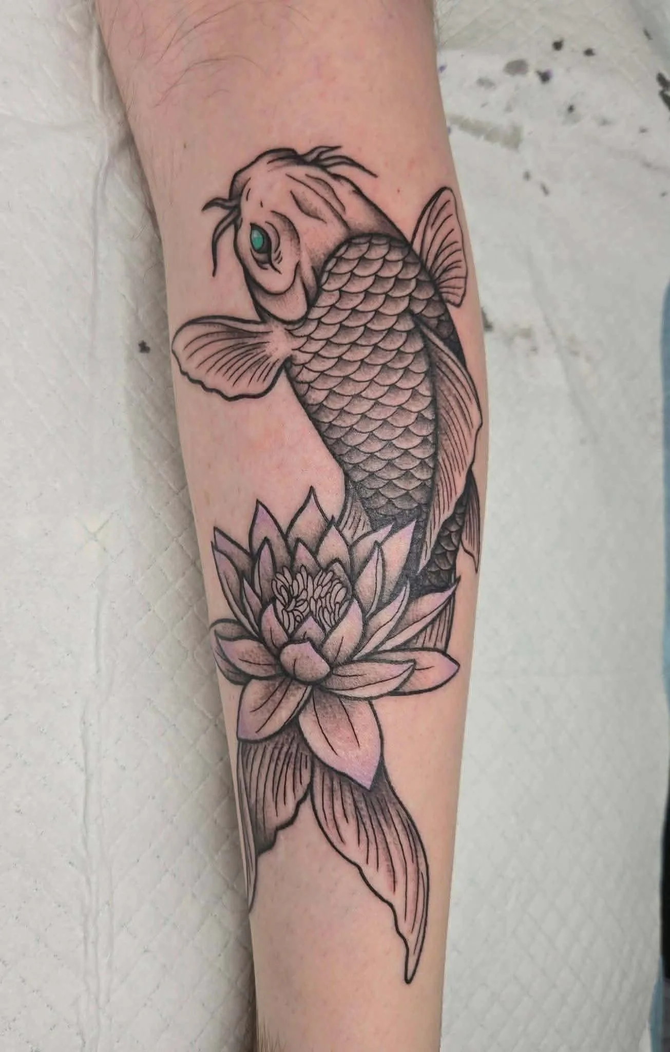 Koi Fish.jpg