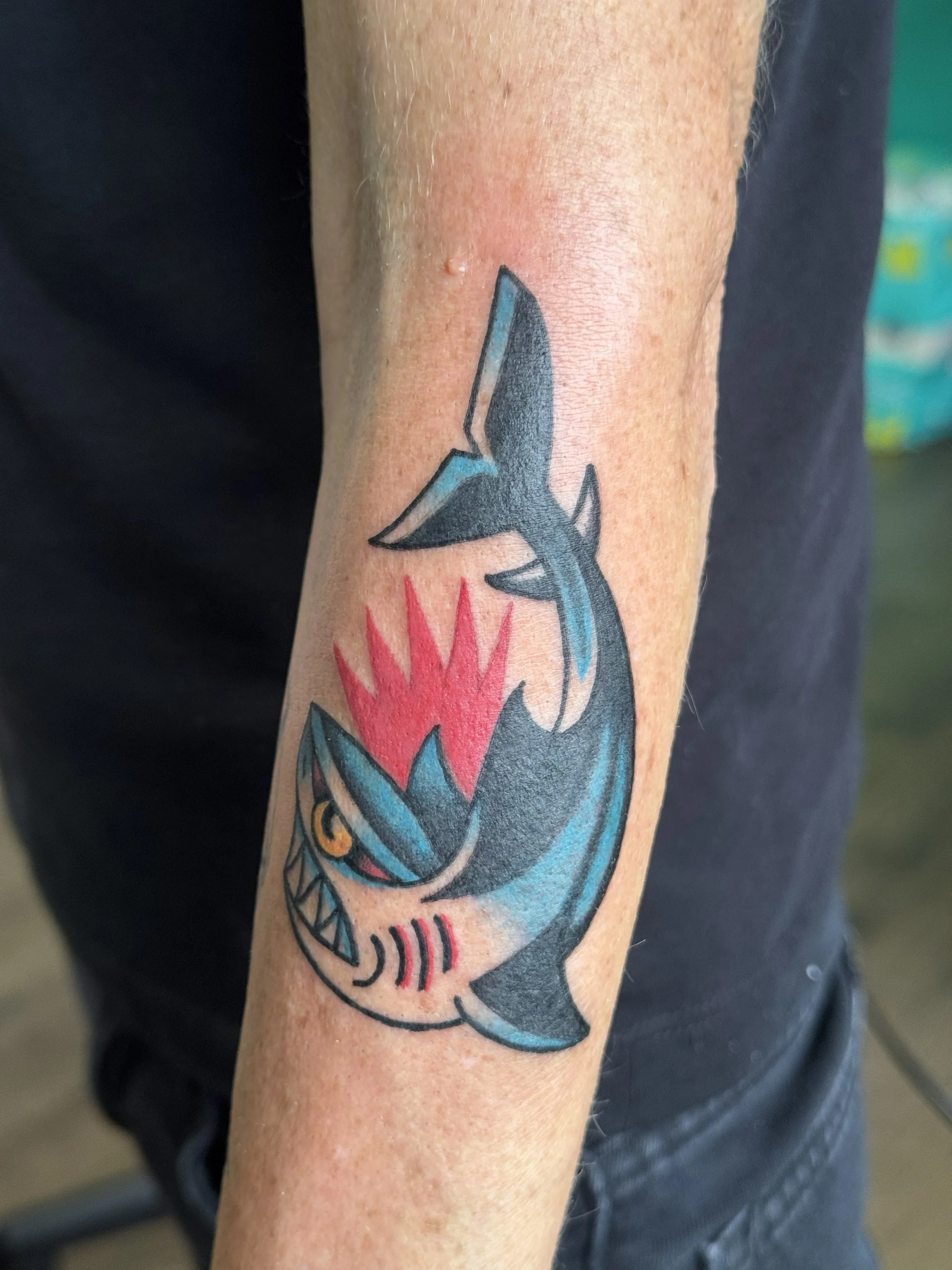 Shark2.jpg