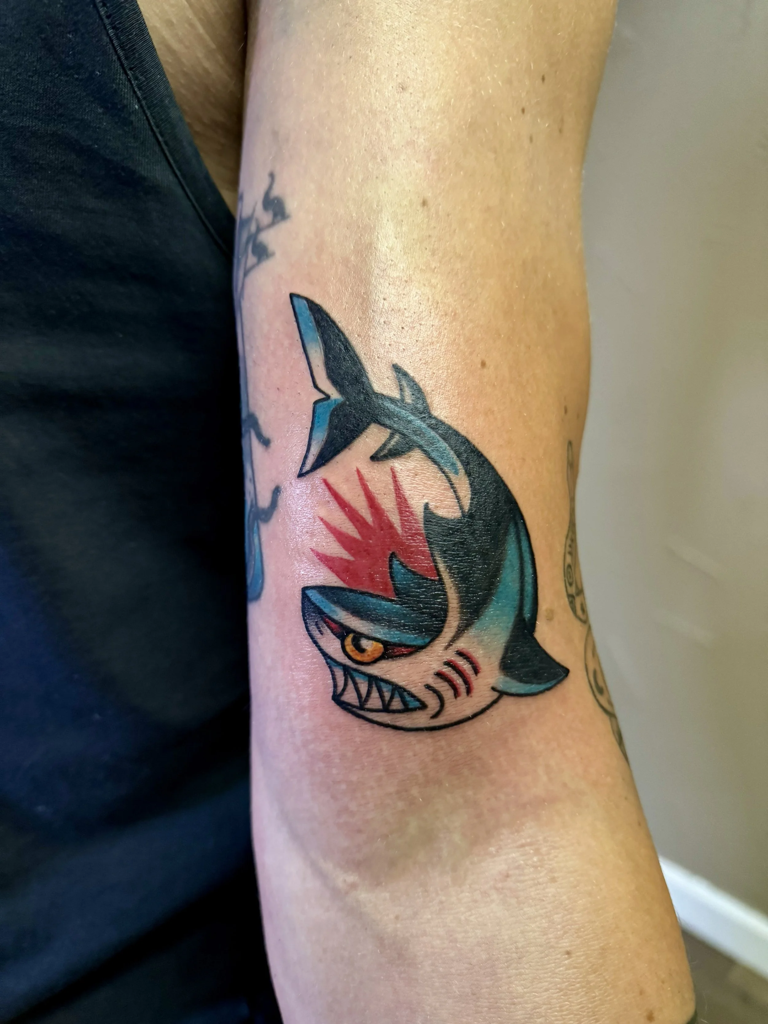 Shark.jpg