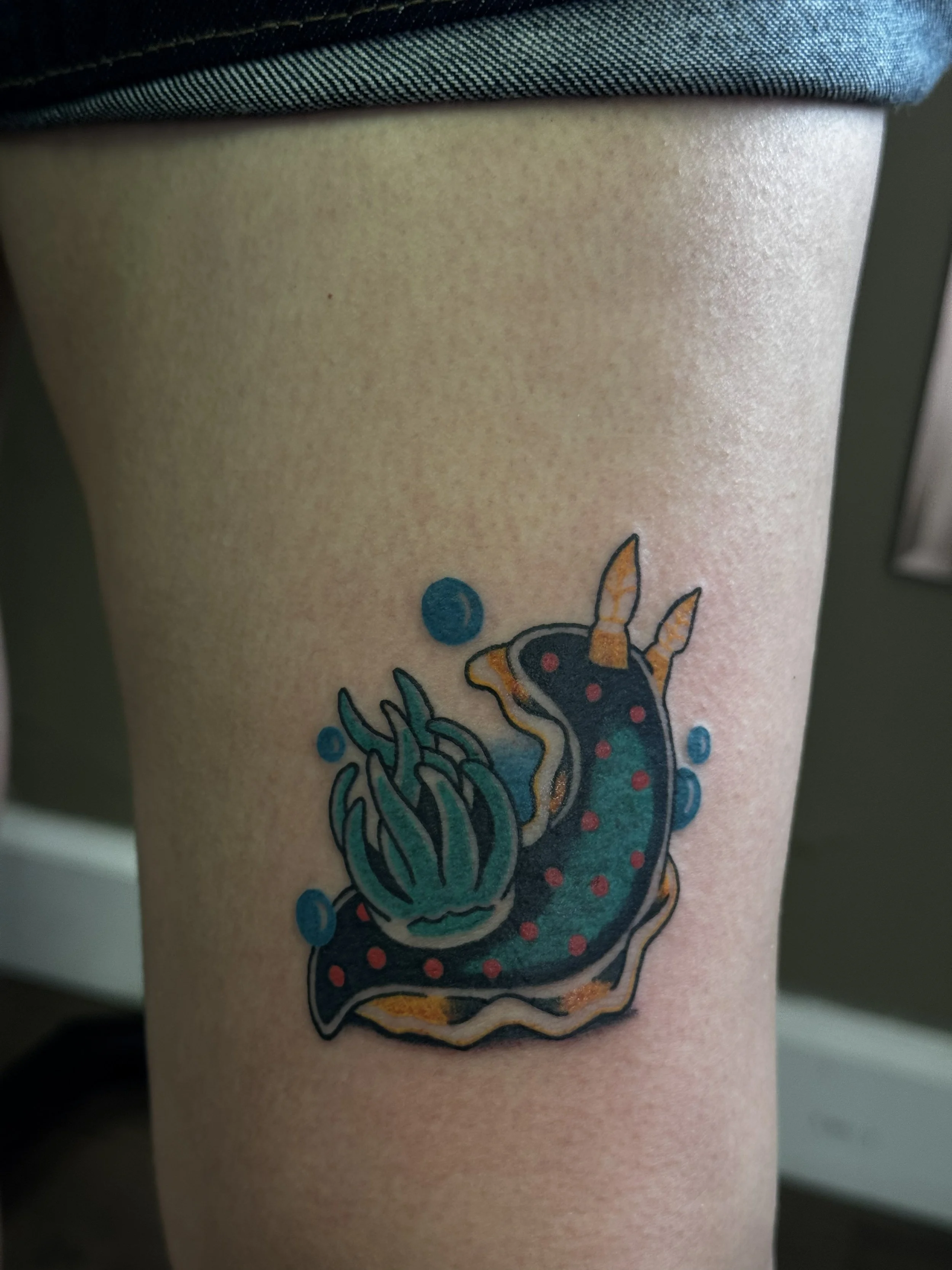 Sea slug.jpg
