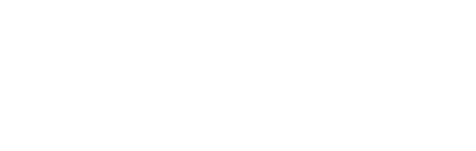 The New Models