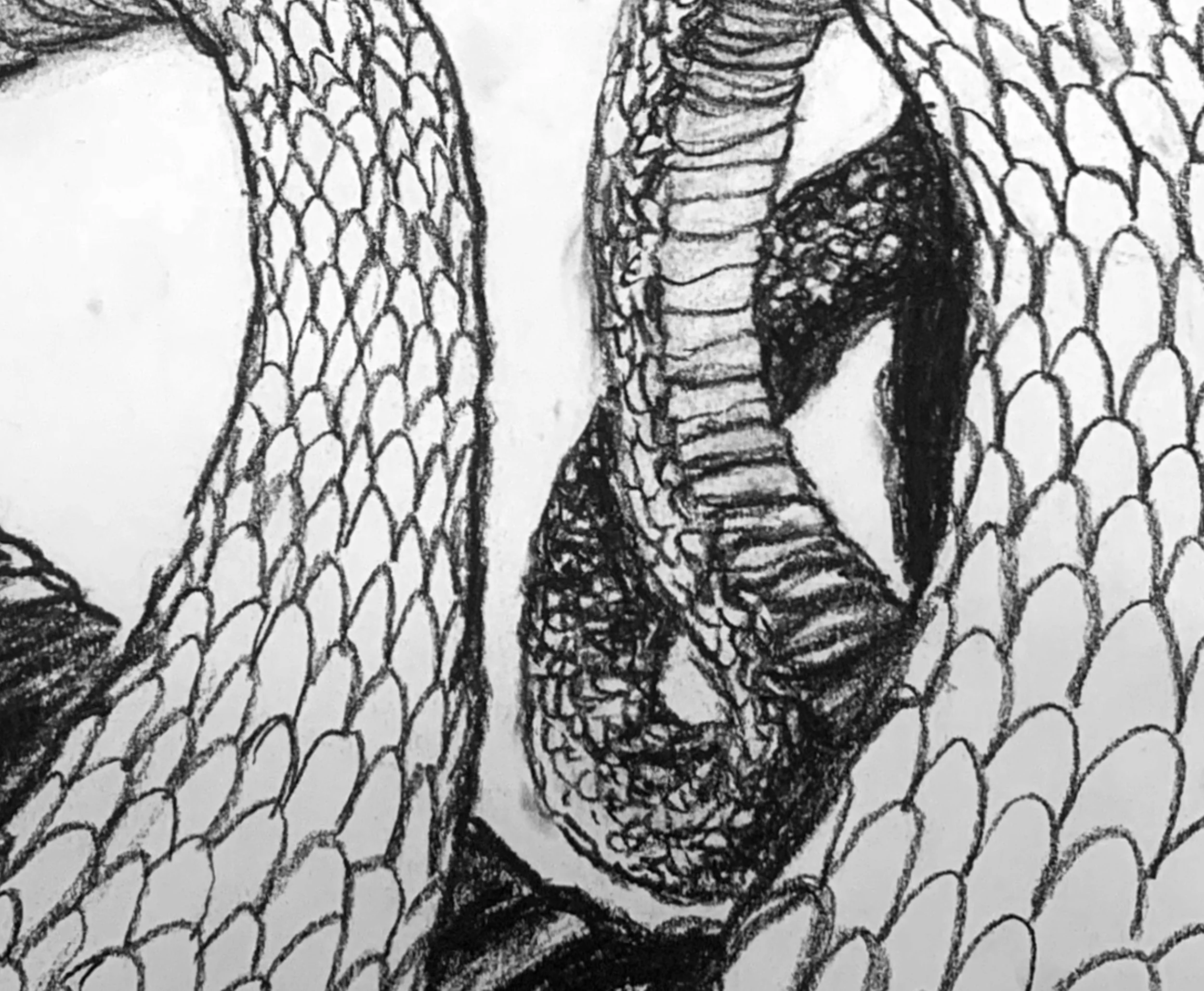 SerpentFight-Charcoal-01-XXL-XCU-02.jpg