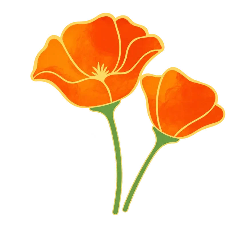 Orange poppies from The Village Therapy Collective brand