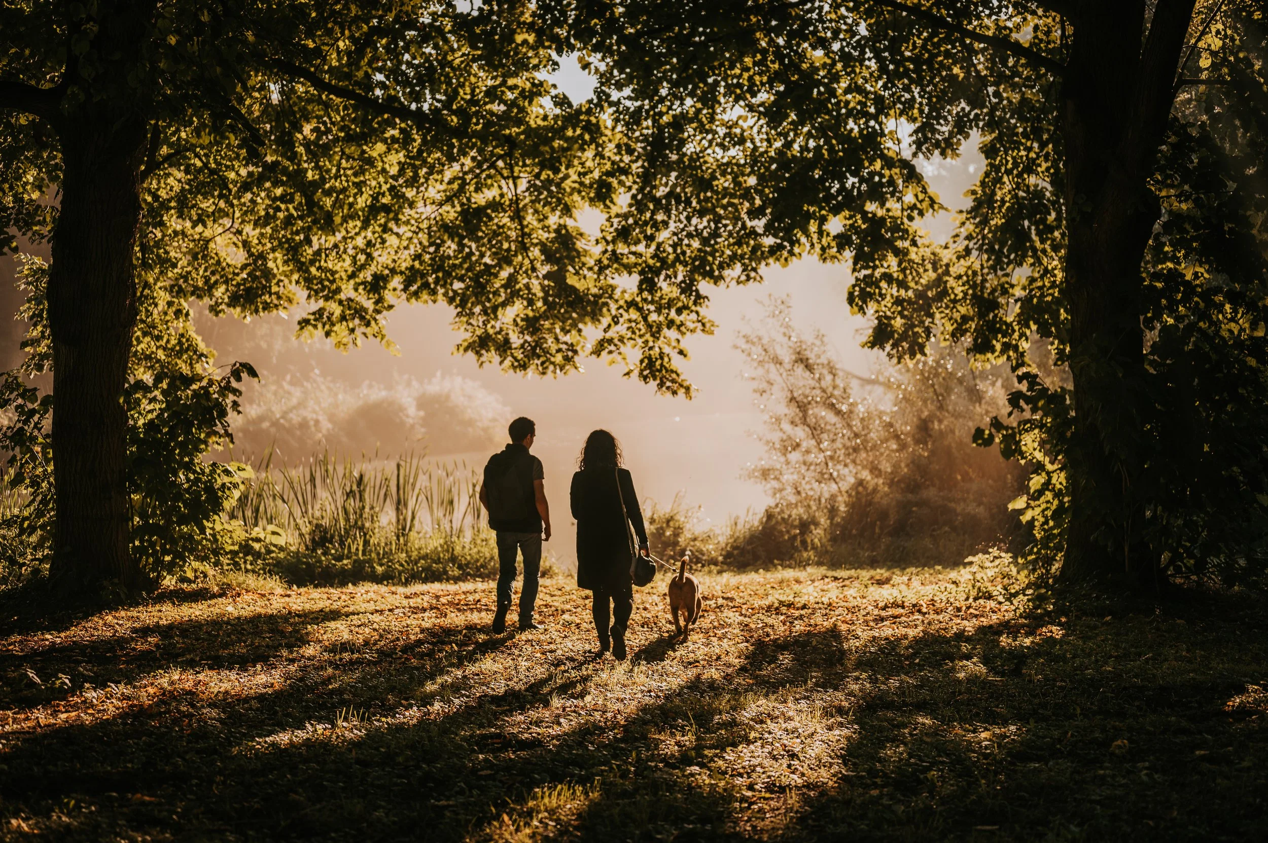 A couple walking their dog in a sunny park during sunset, surrounded by tall trees and lush greenery.
