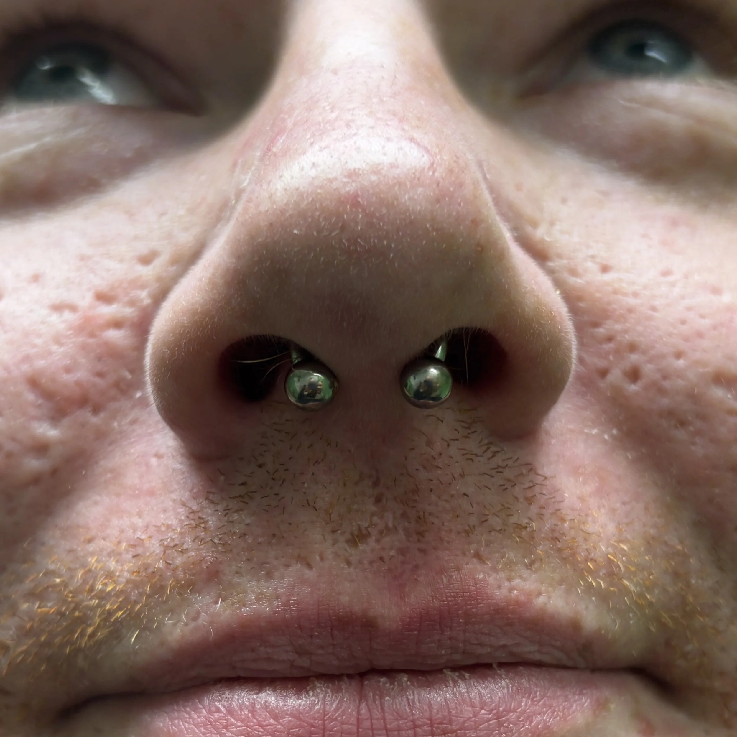 Septum 10a.JPEG