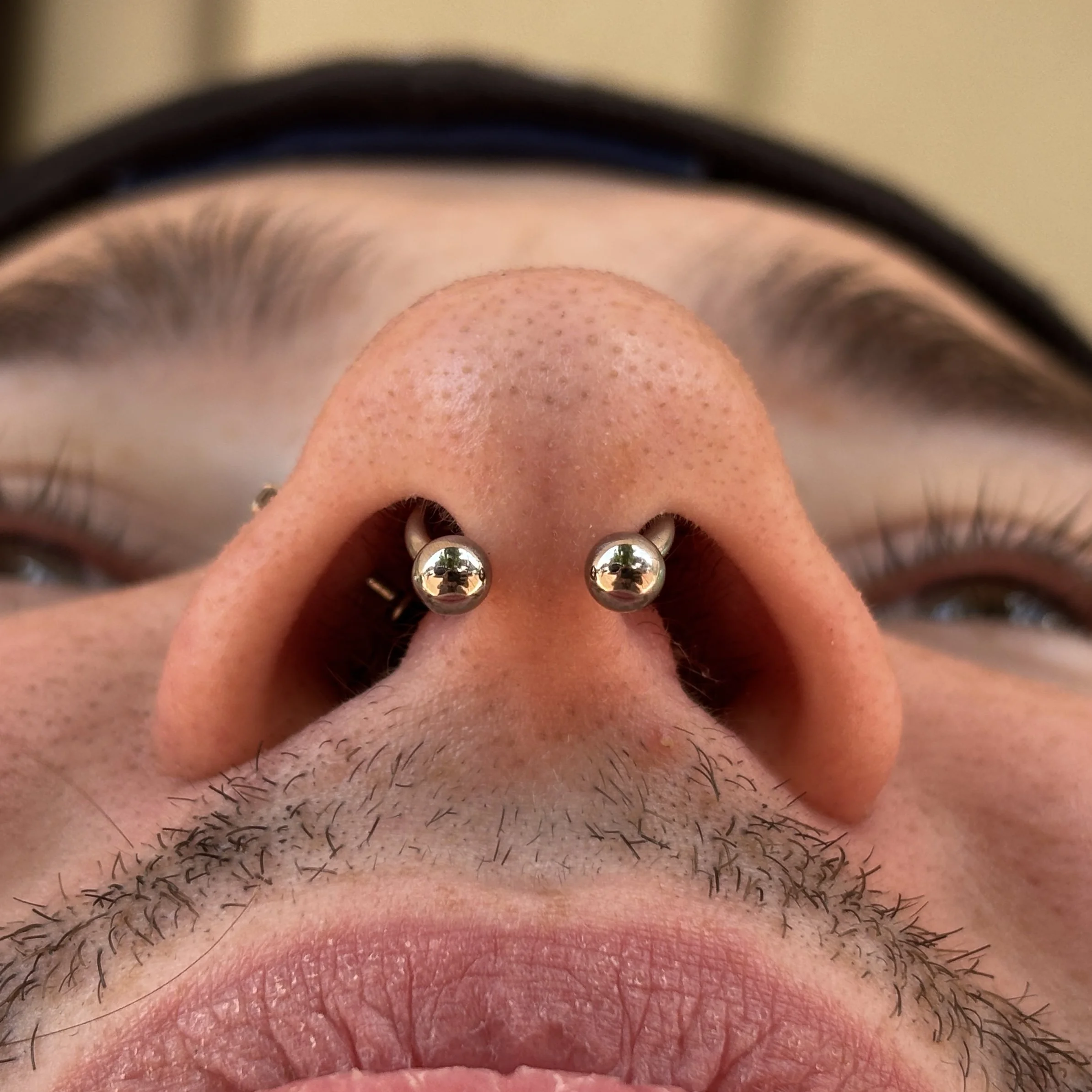 Septum 3b.JPEG