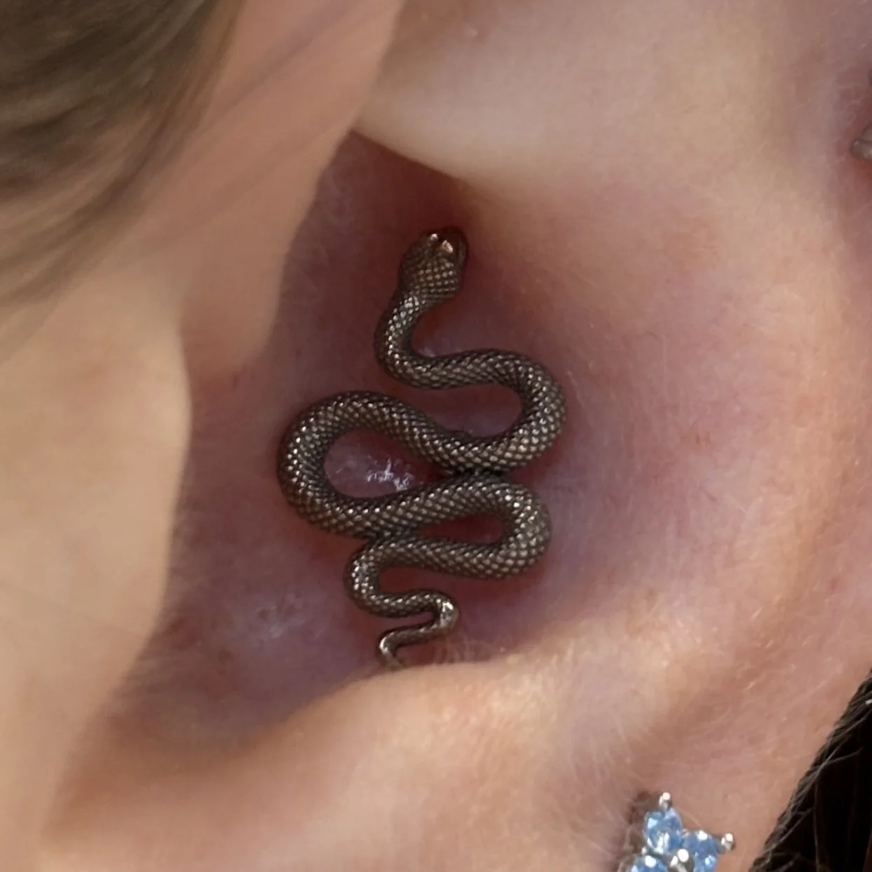 Conch