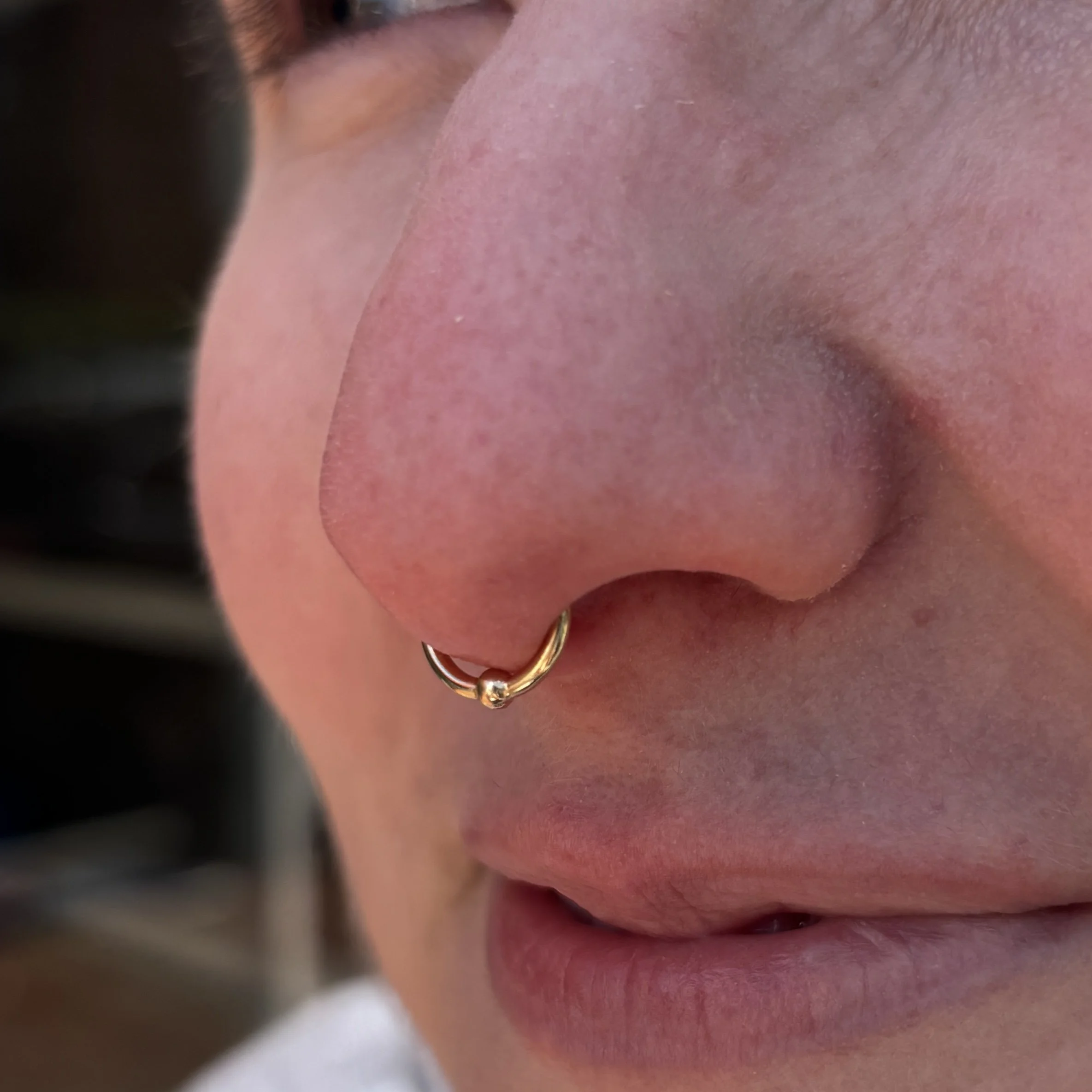 Septum b.JPEG