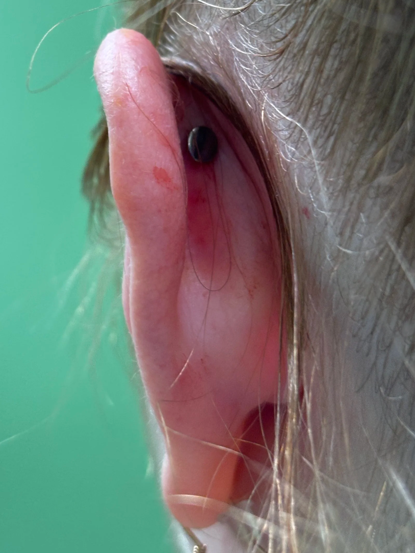 Back of Faux Rook