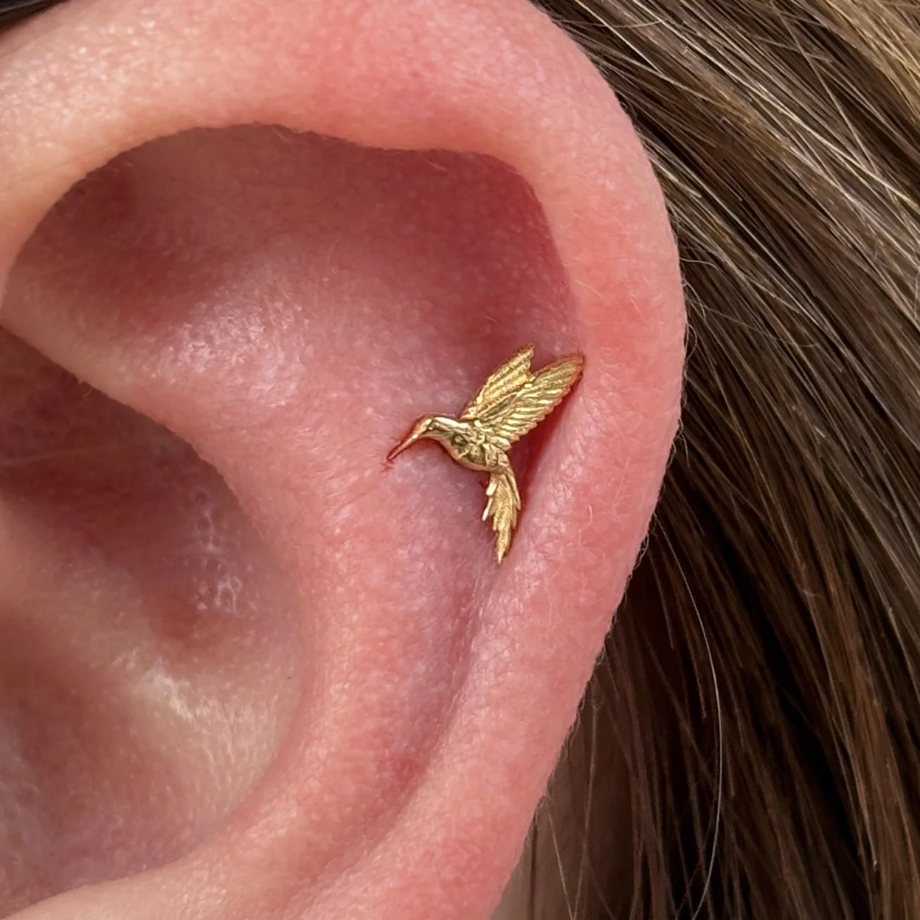 Outer Helix