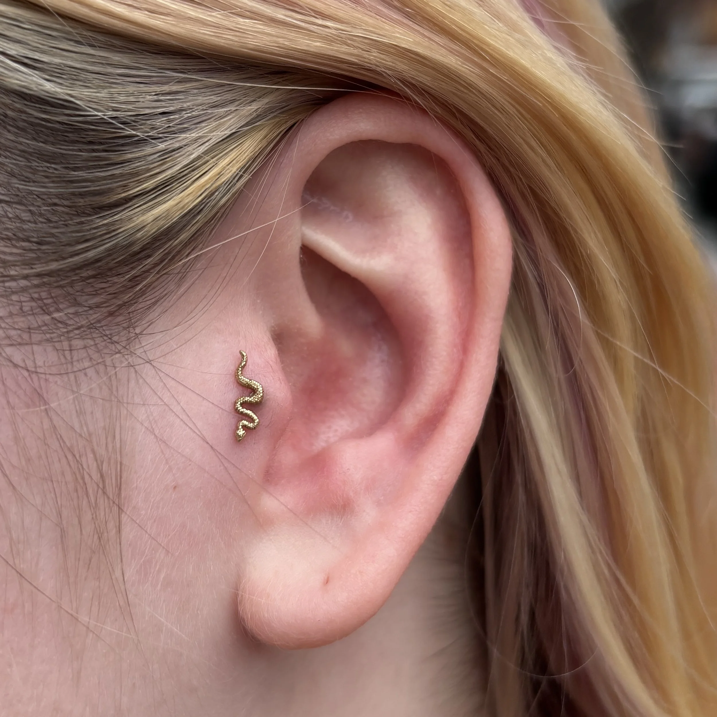 Healed Tragus