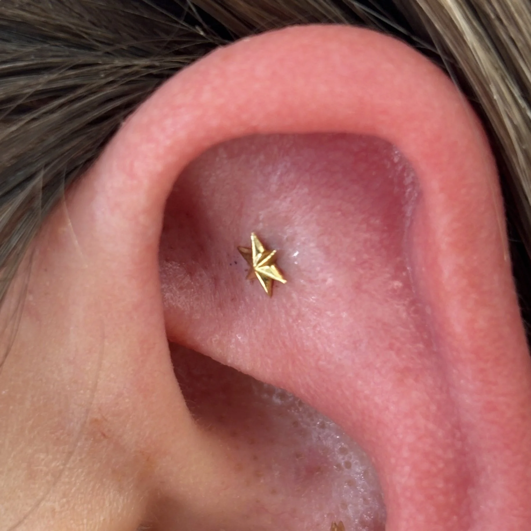 Faux-Rook