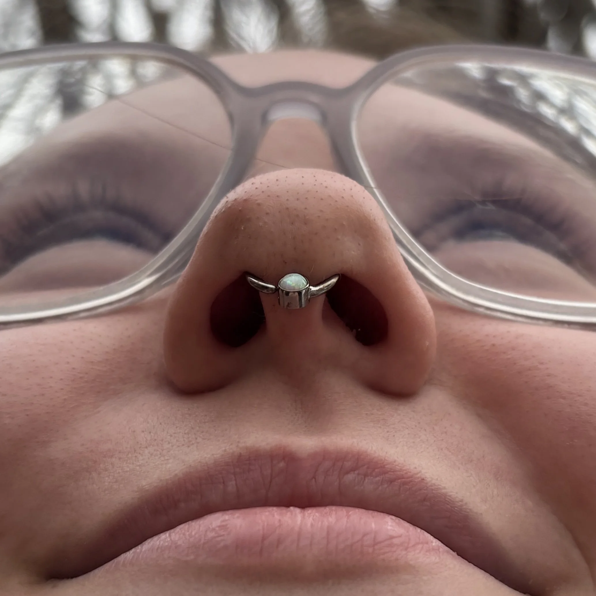 Septum 2c.JPEG