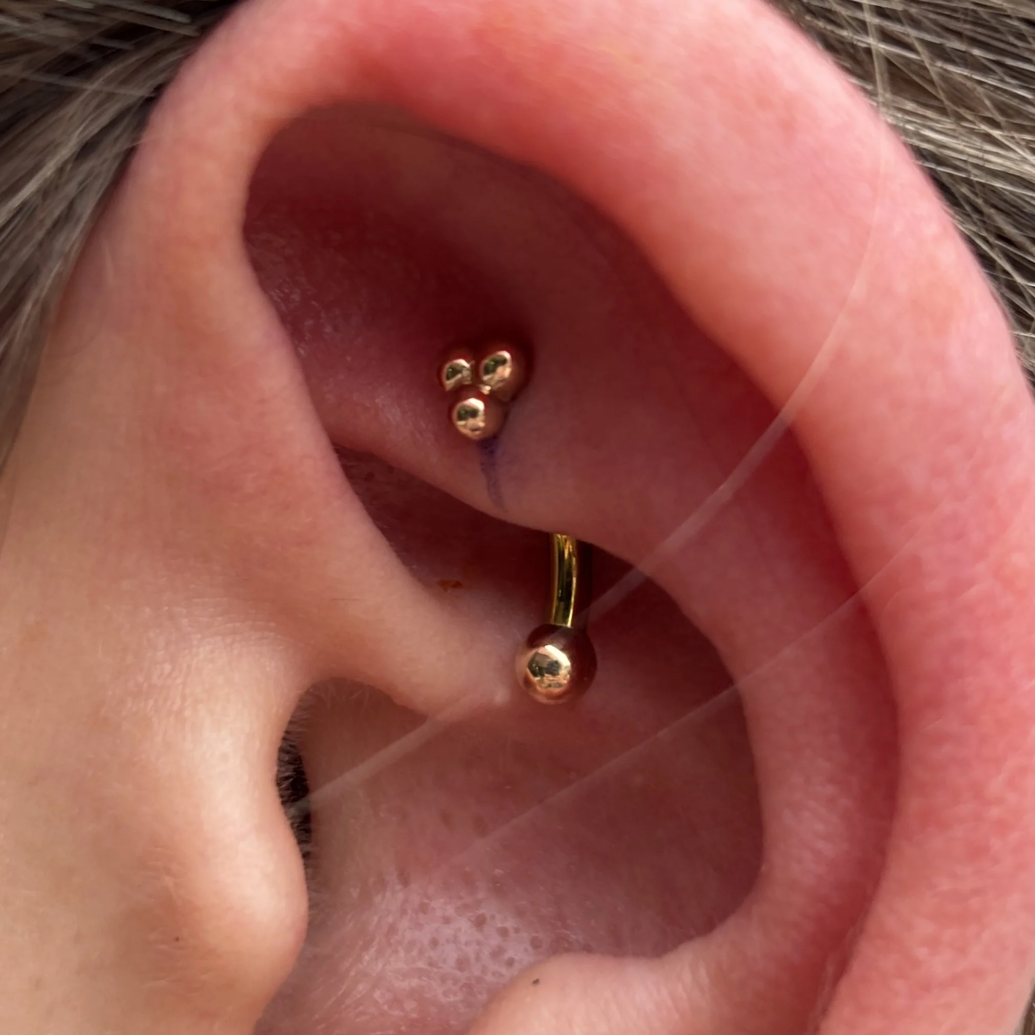 Rook