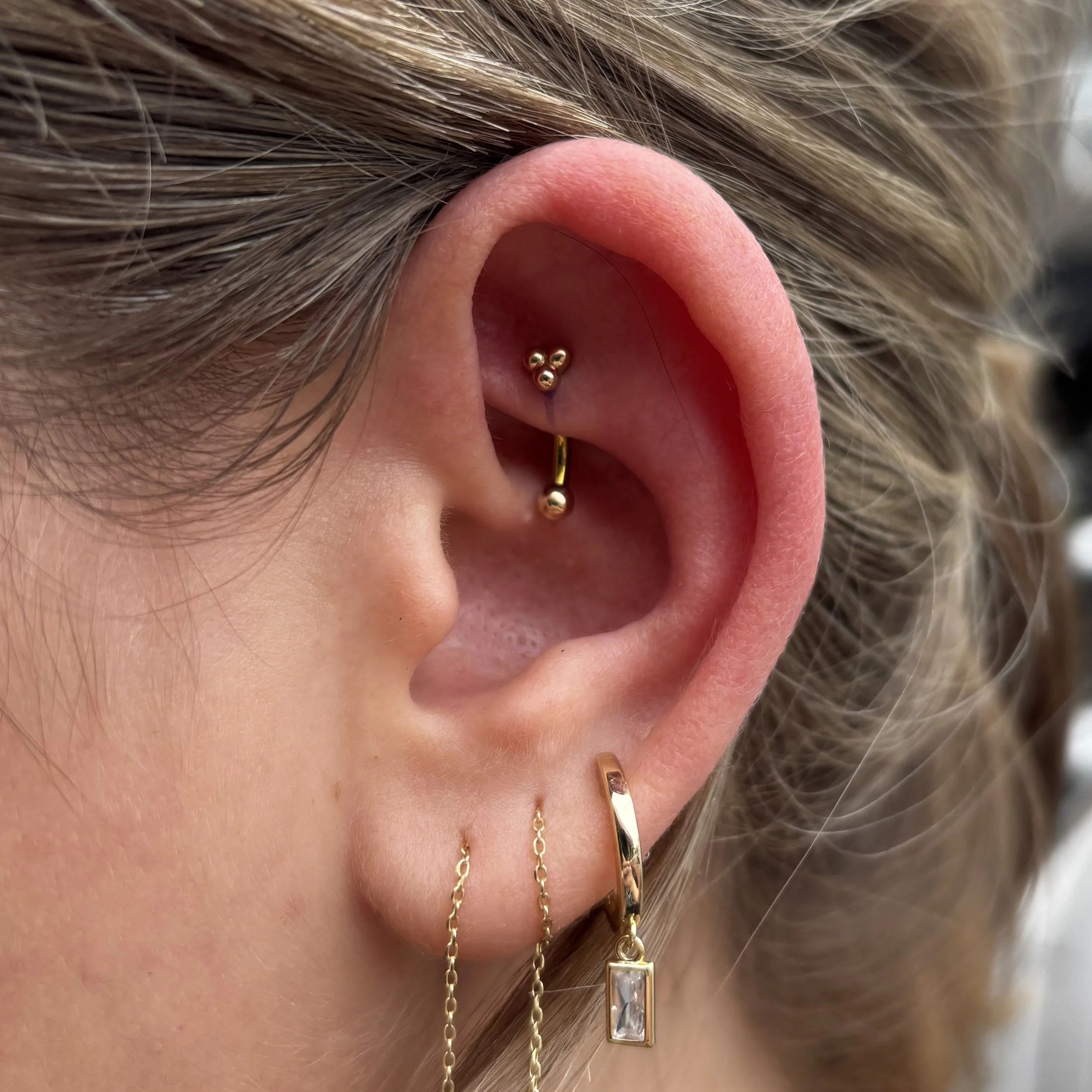 Rook