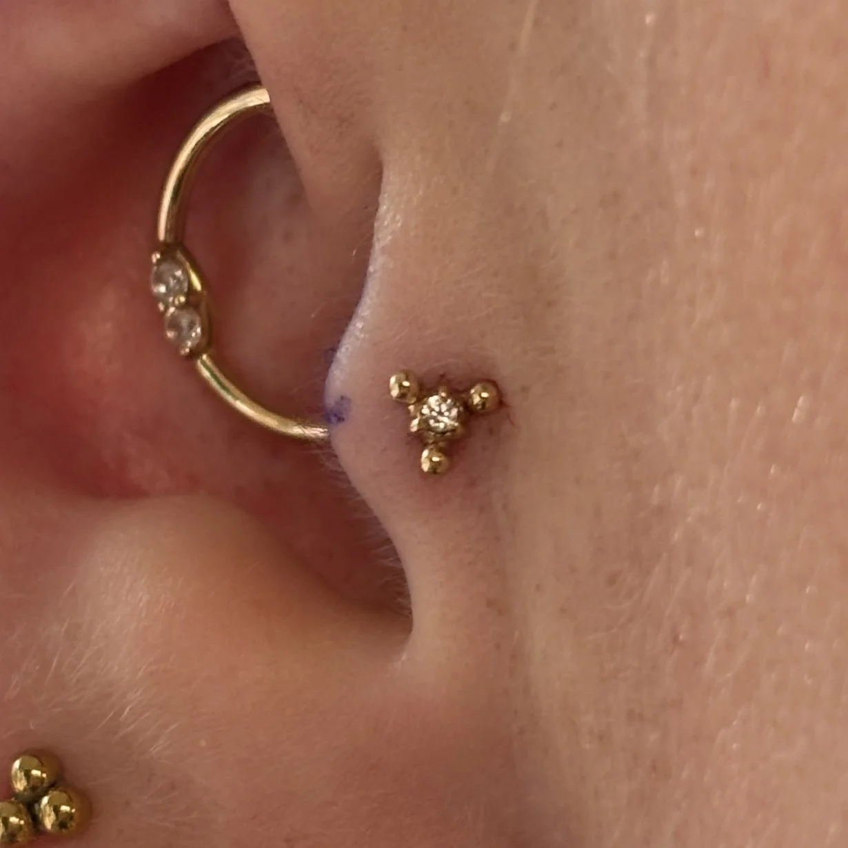 Daith & Tragus