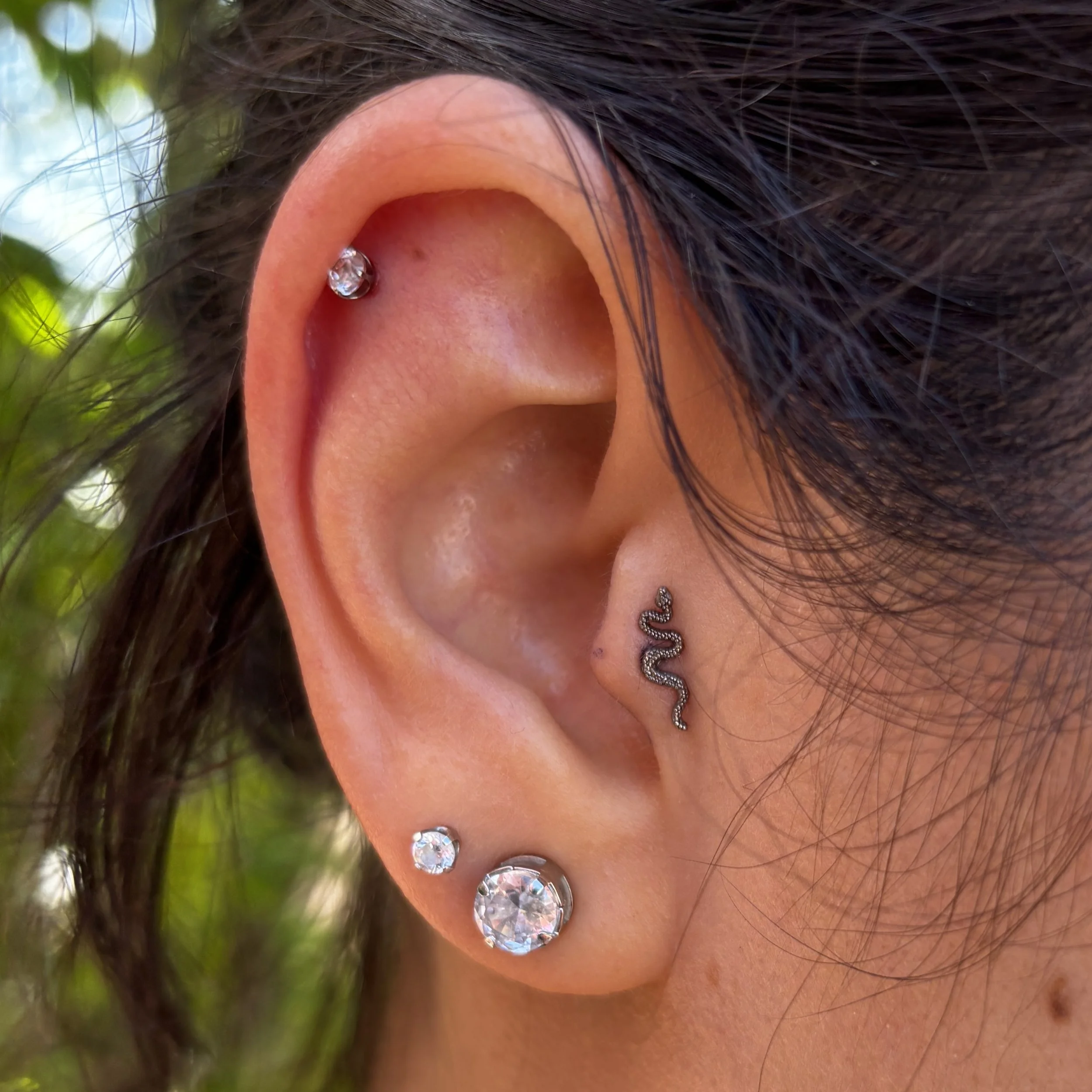 Tragus