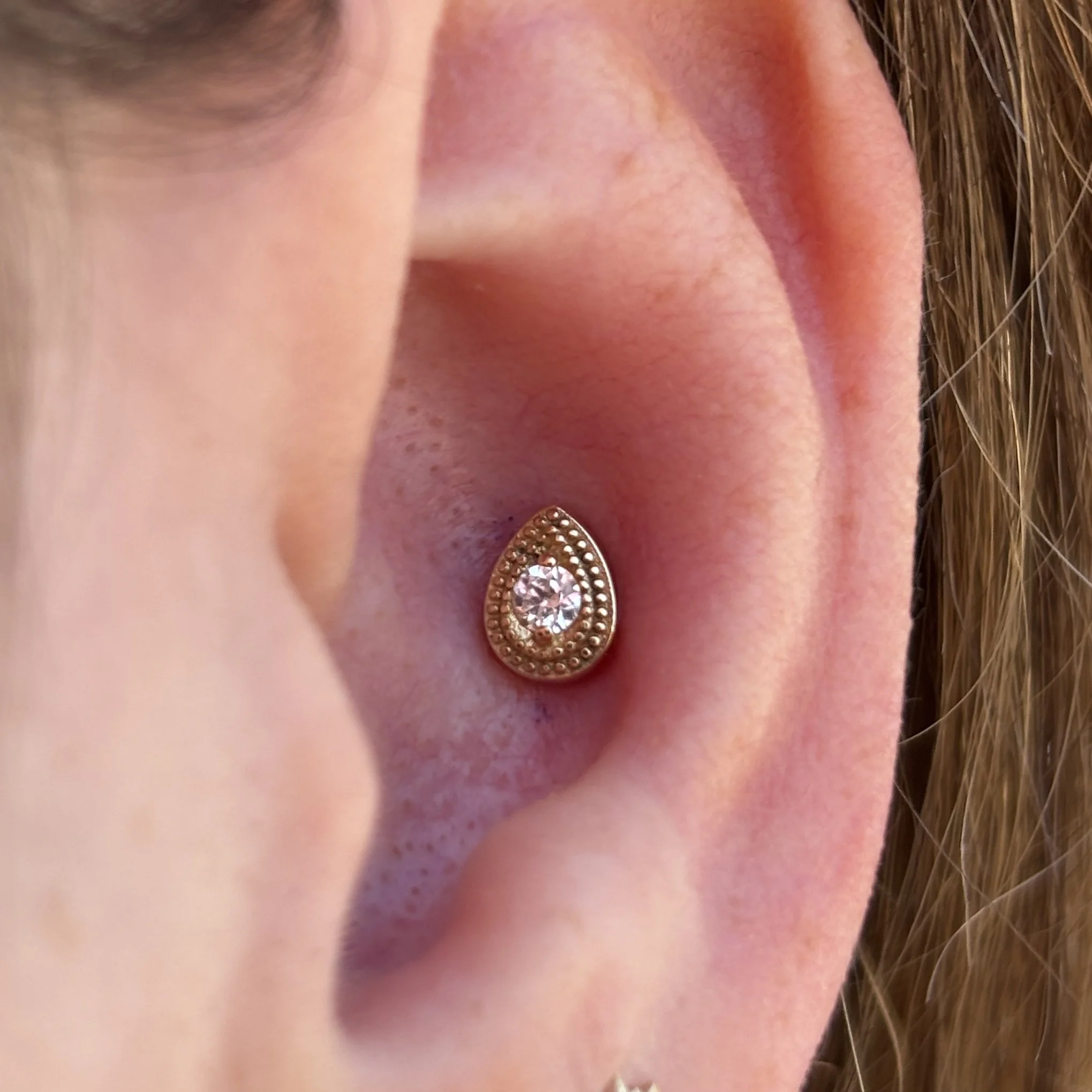 Conch