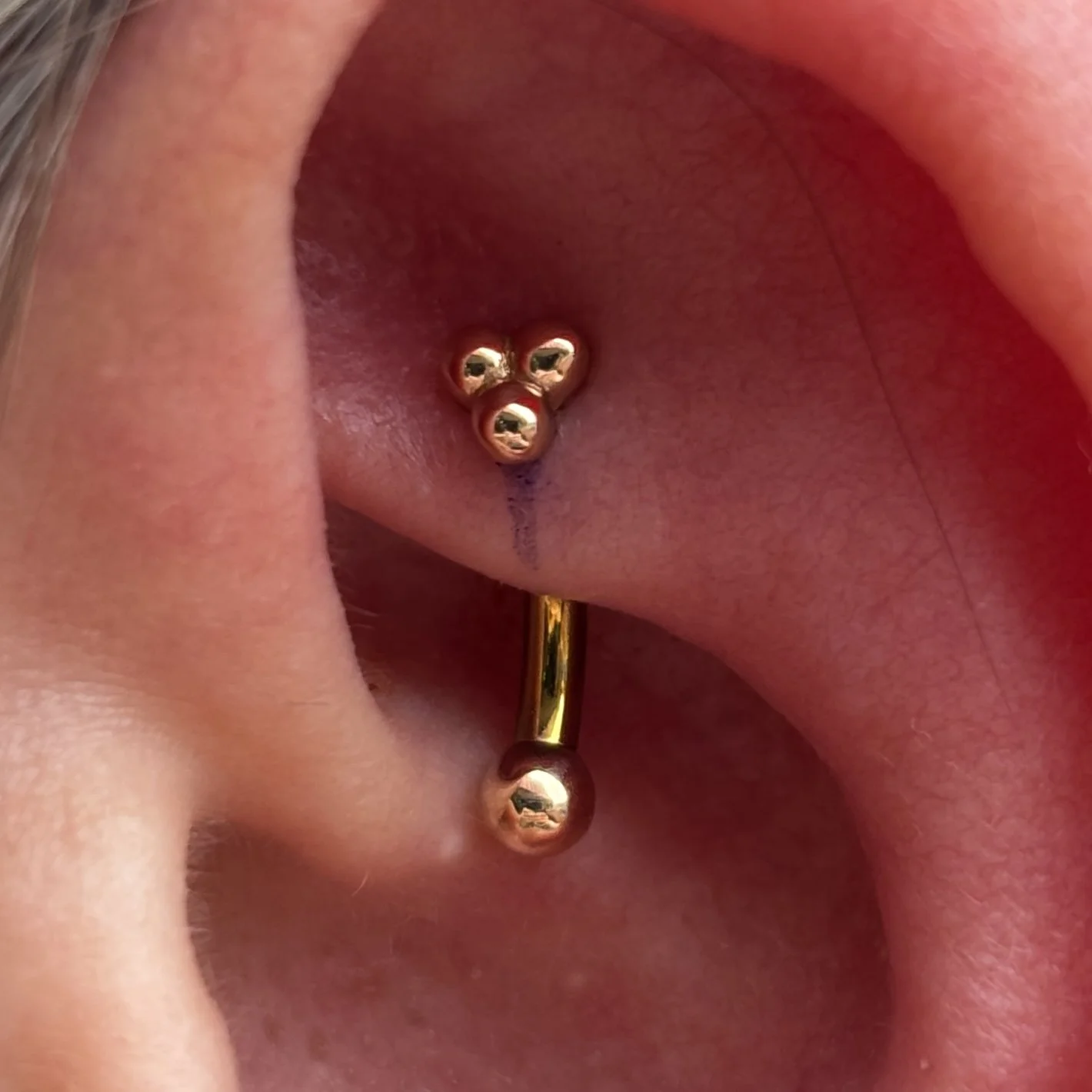 Rook