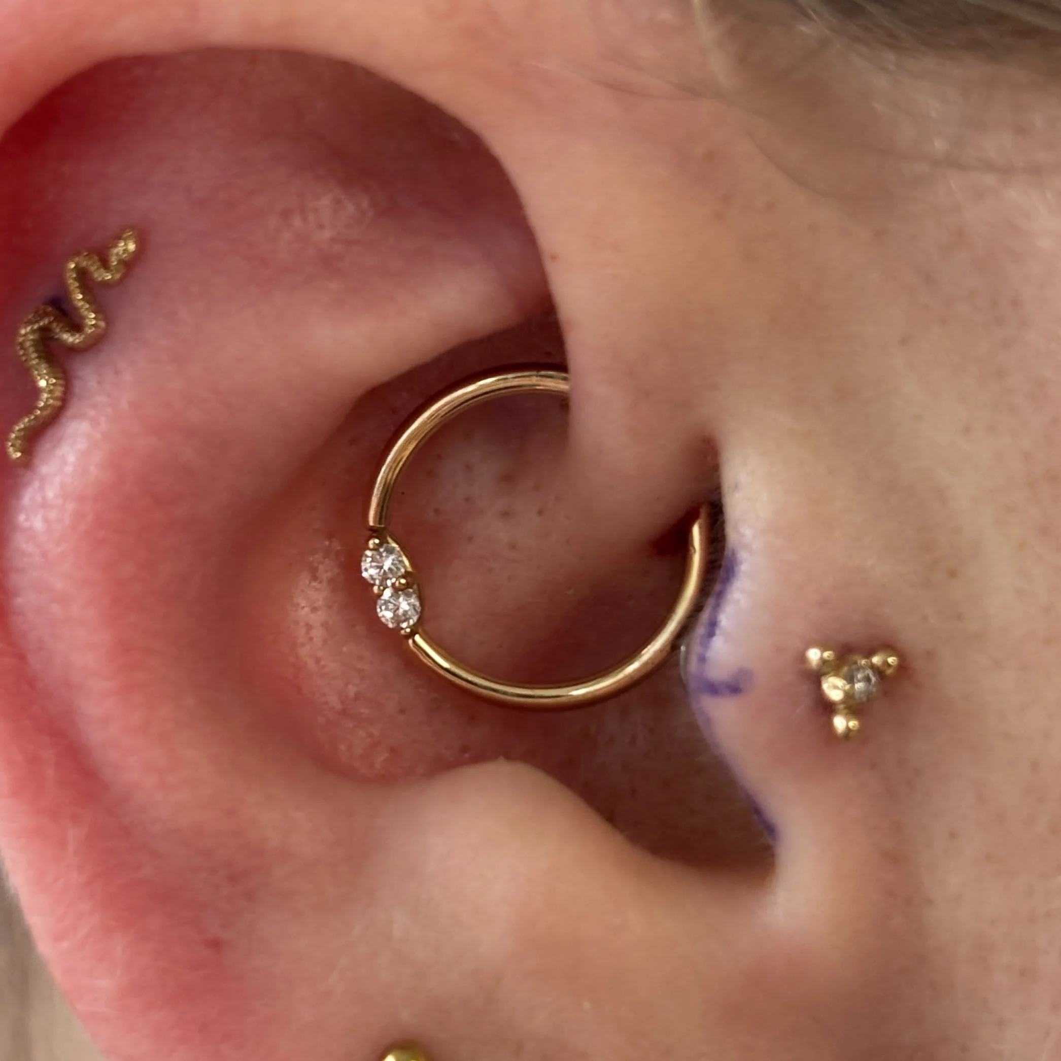 Daith, Outer Helix, Tragus