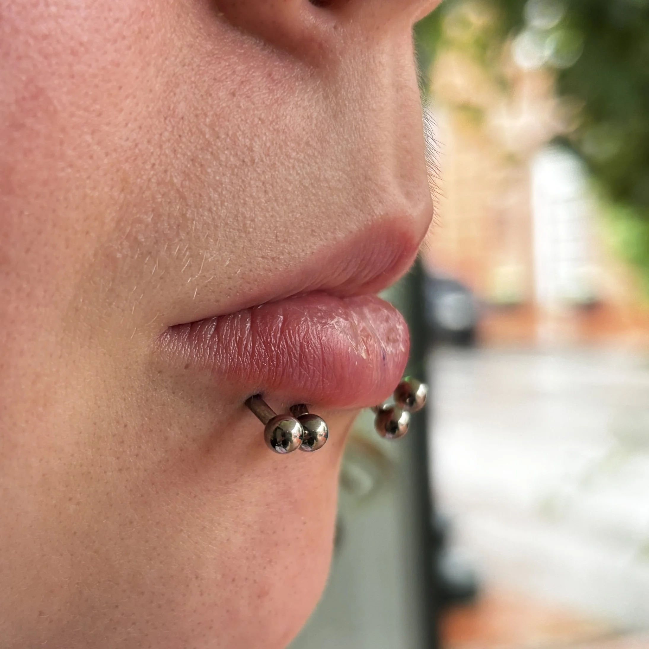 Fresh Quad Lower Lips