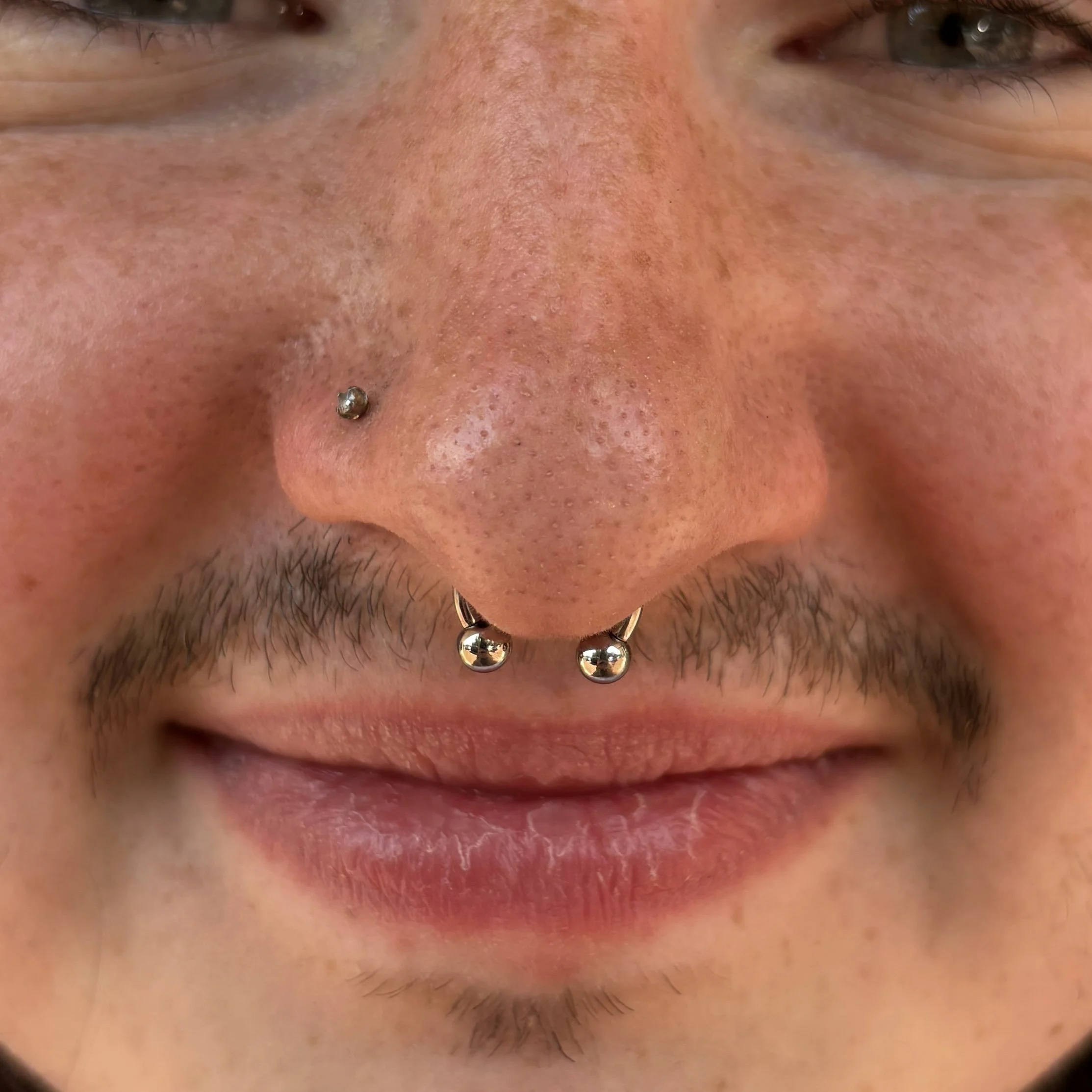 Septums 3a.JPEG