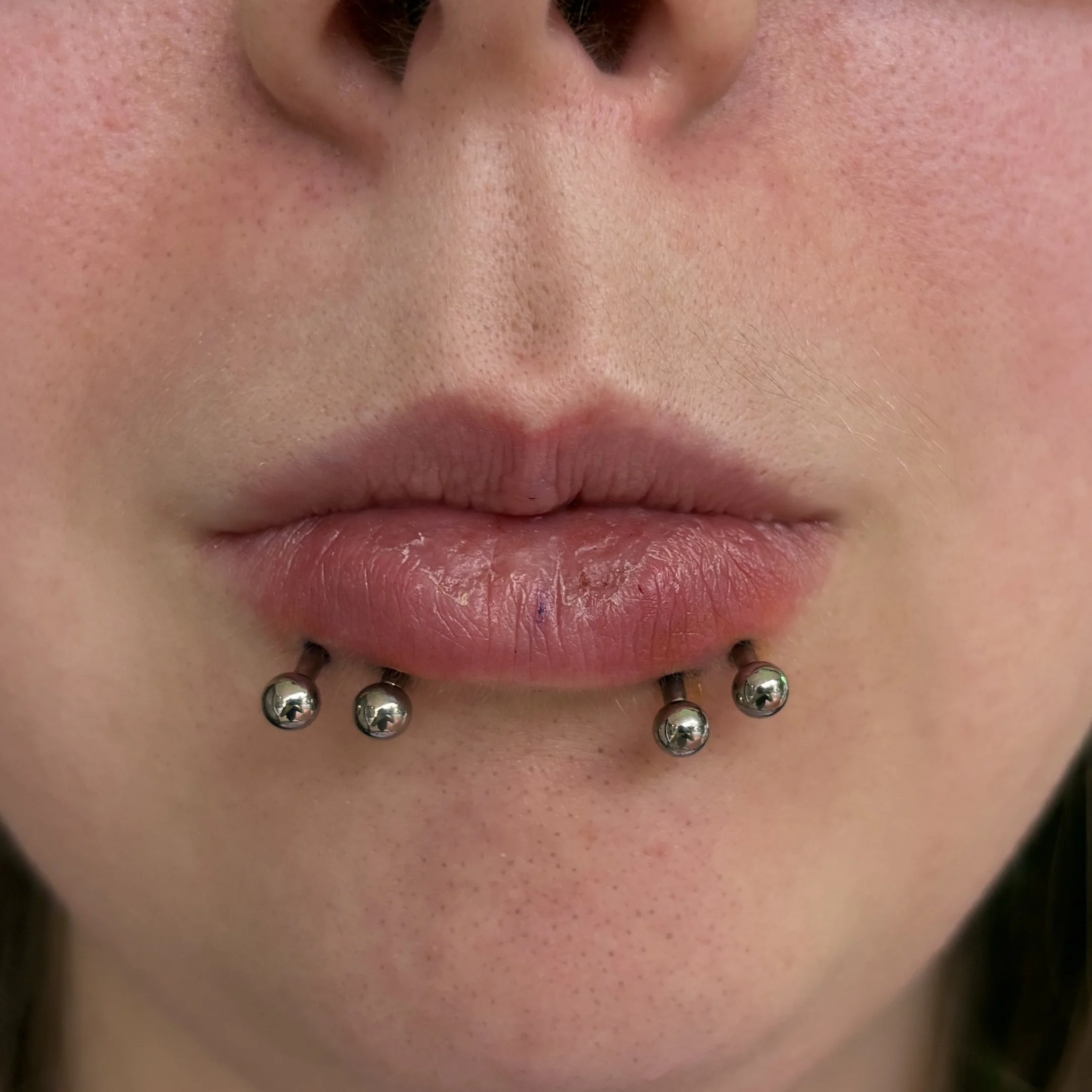 Fresh Quad Lower Lips