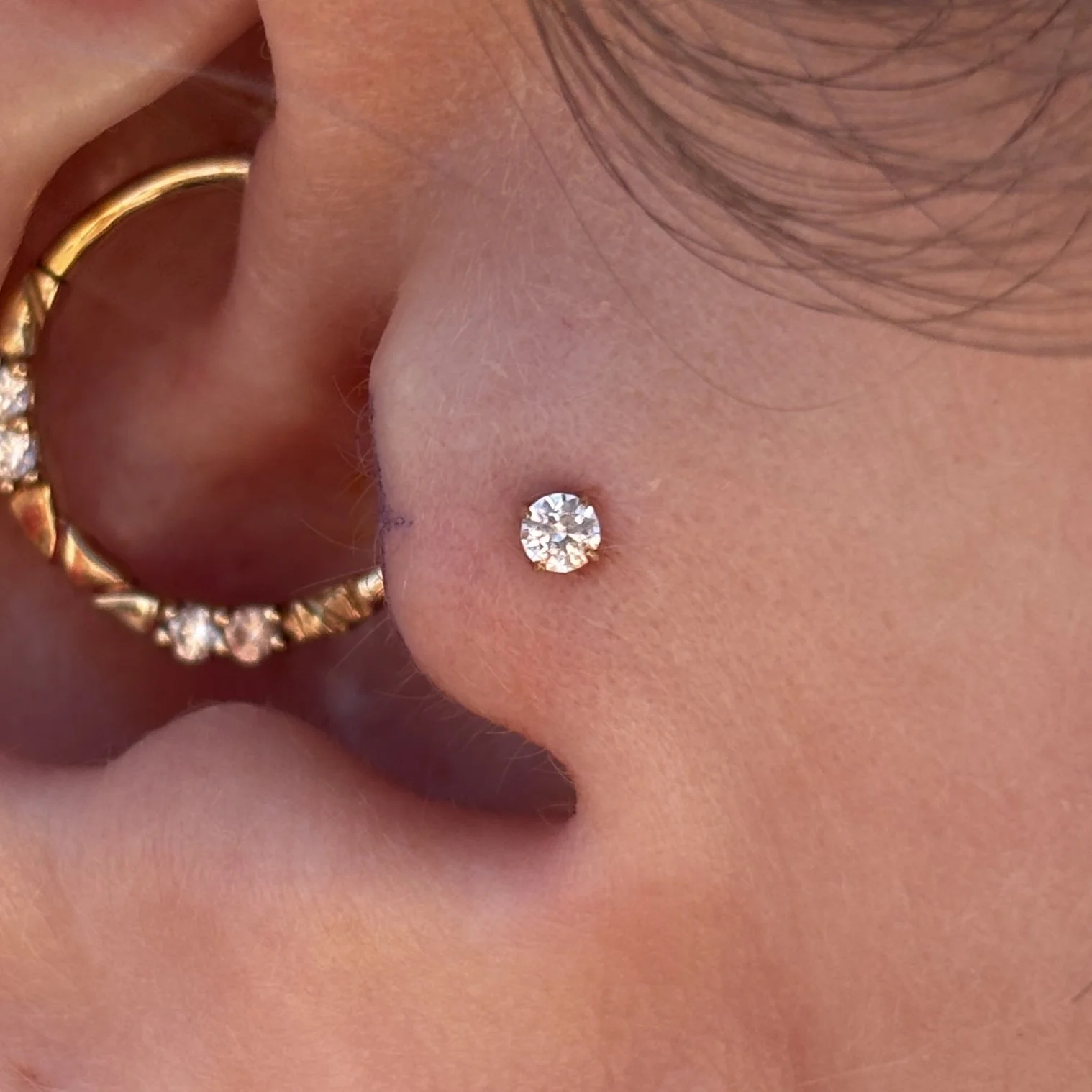 Daith & Tragus