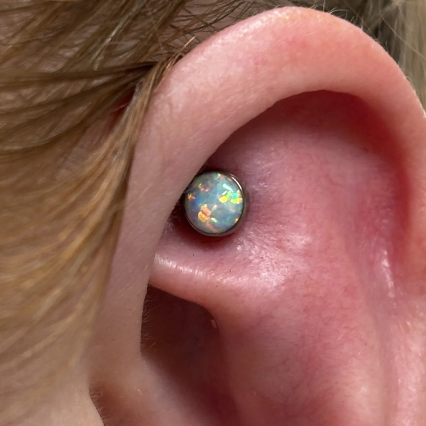 Faux-Rook