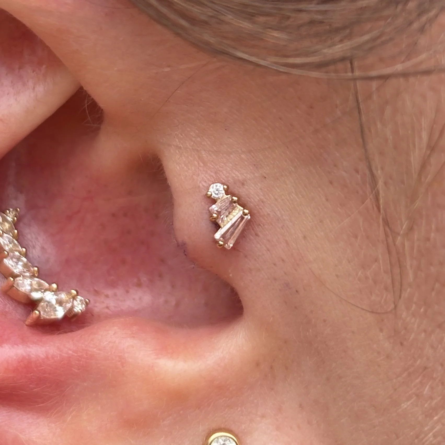 Conch & Tragus