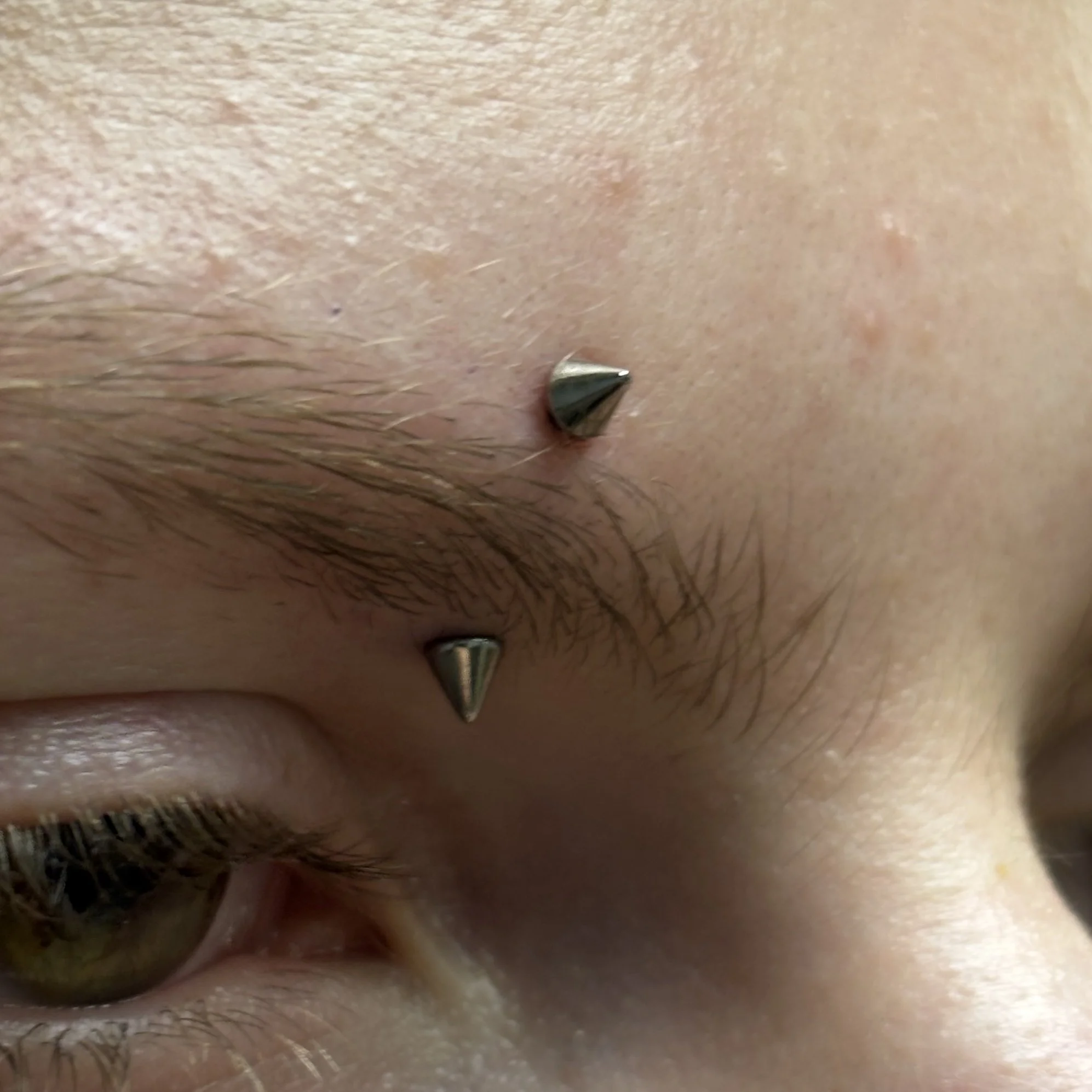 Fresh Inner Eyebrow