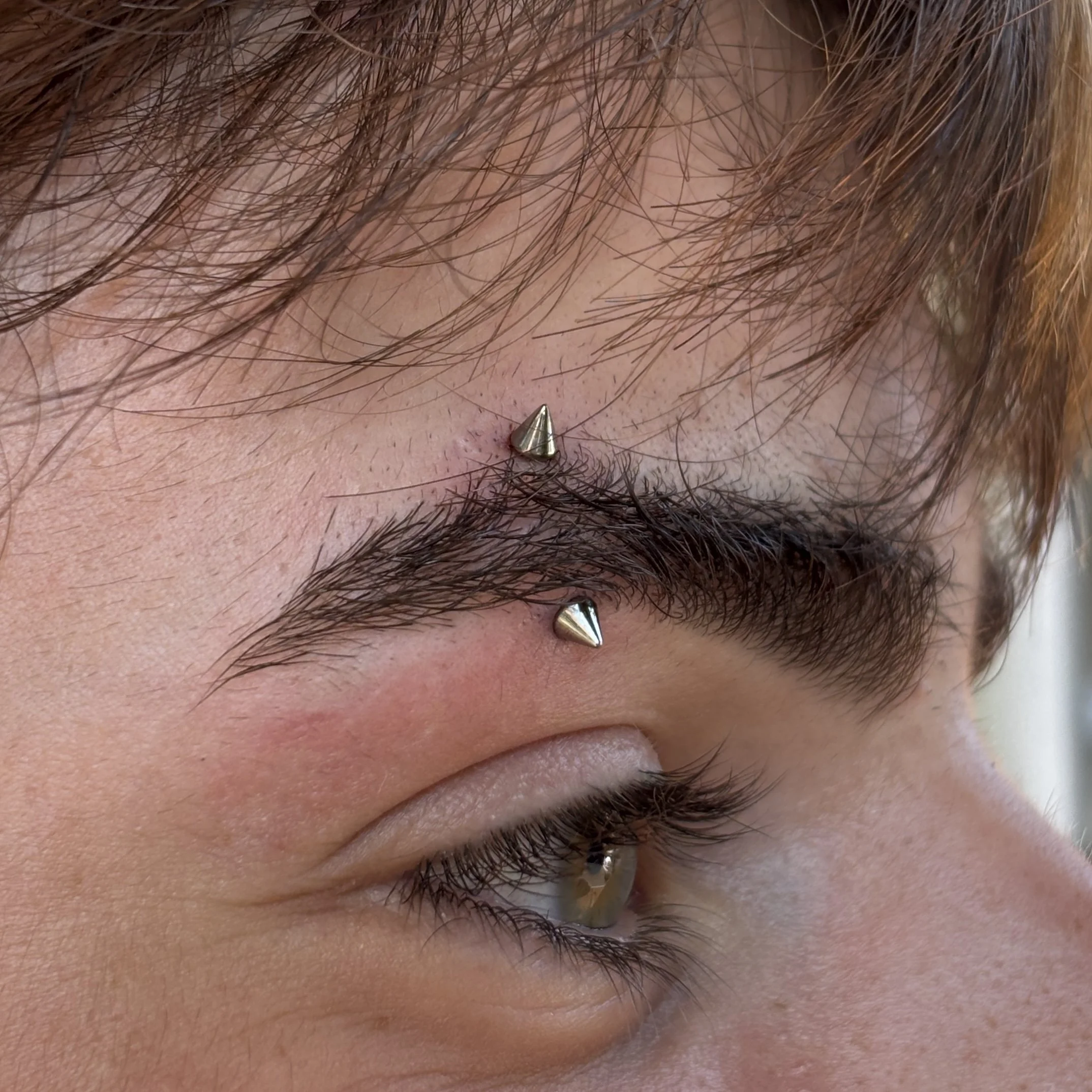 Fresh Eyebrow