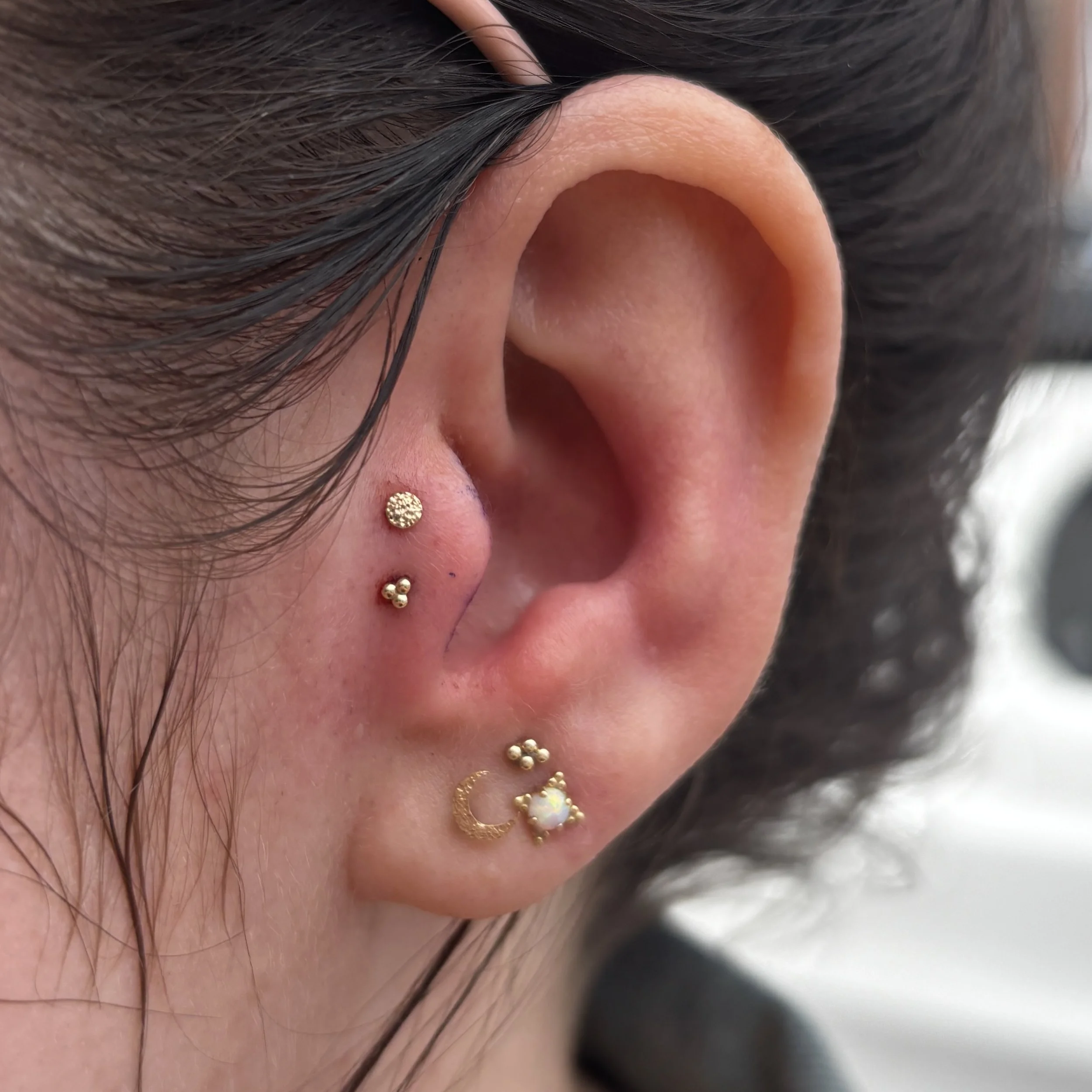 Double Tragus